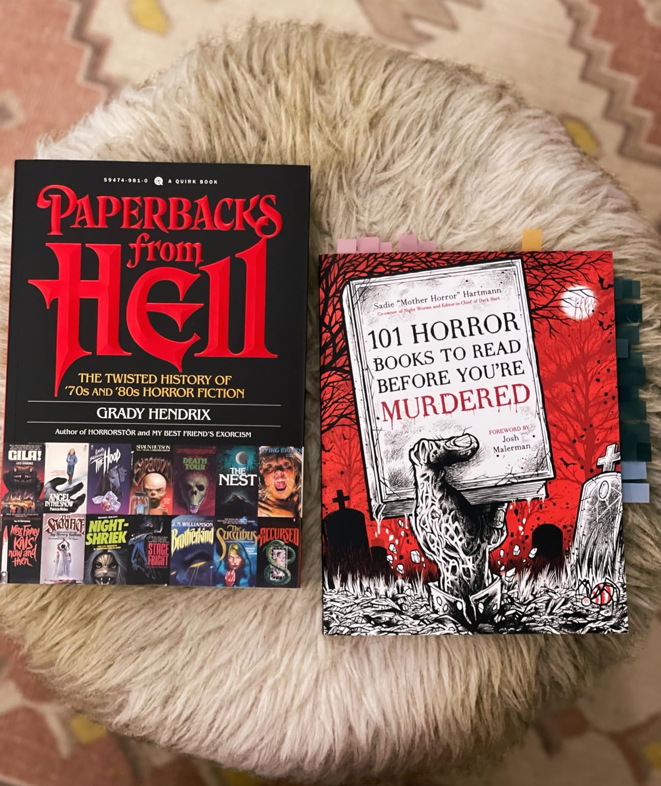 Paperbacks from Hell: The Twisted History of '70s and '80s Horror Fiction customer photo 1