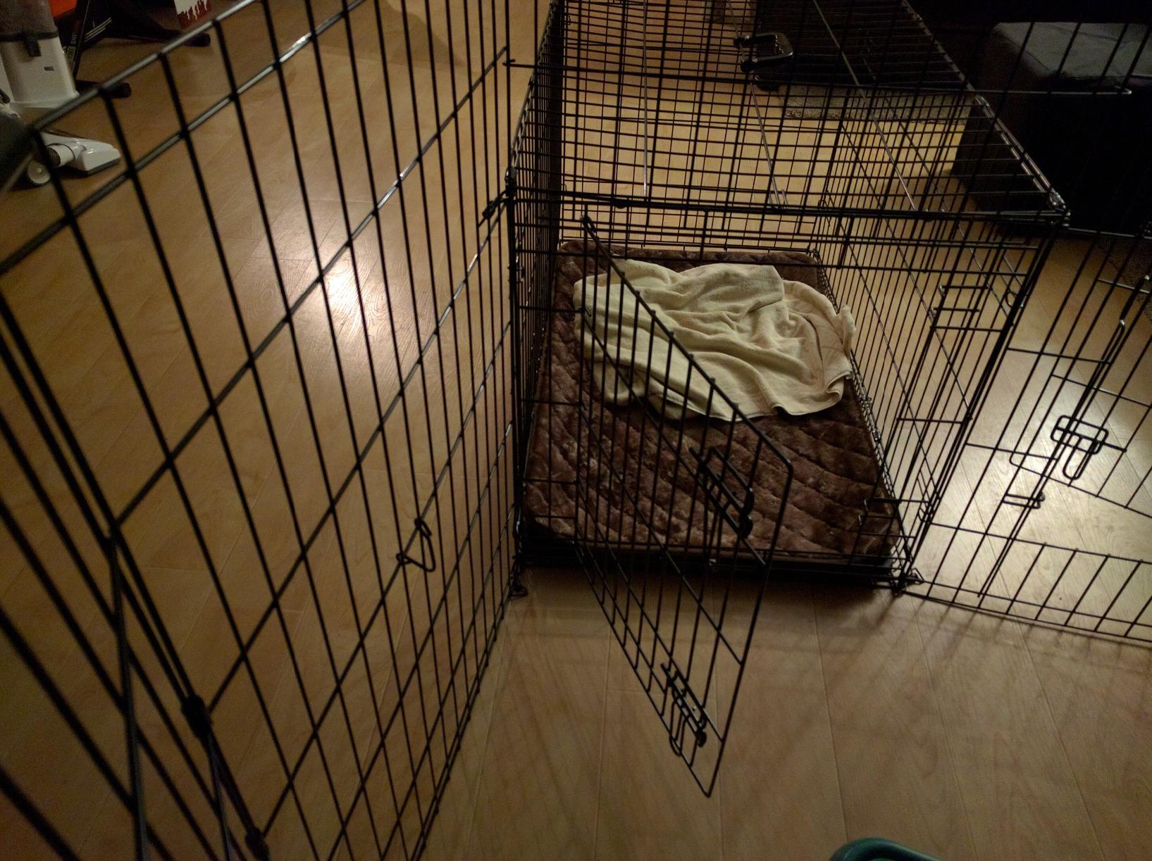 MidWest Homes for Pets 24-Inch Exercise Pen, for Indoor and Outdoor Use, 16 Sq Feet of Play, Single Door Folding Dog Pen, with Large Door Opening & Secure Latch, Easy to Set Up, Foldable Dog Playpen customer photo 1
