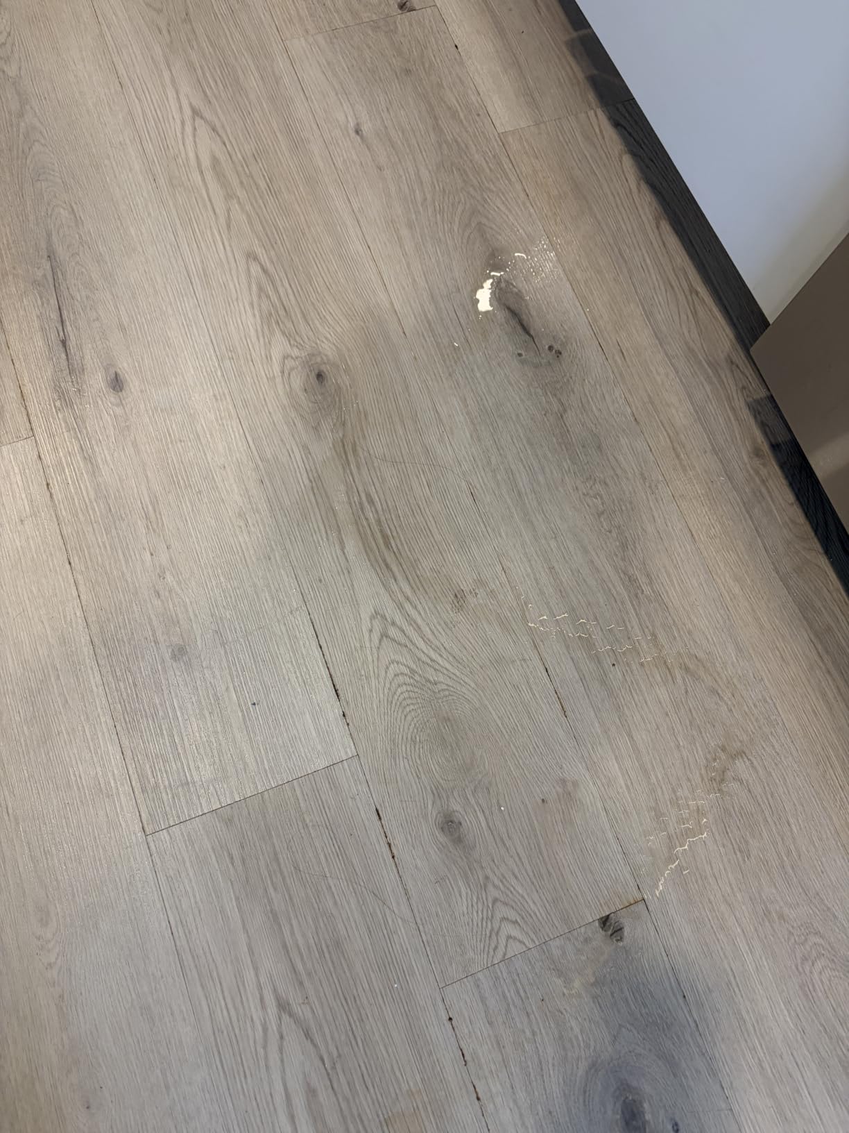 Method Squirt + Mop Hardwood Floor Cleaner, Almond, 25 Ounce, 1 pack, Packaging May Vary customer photo 2
