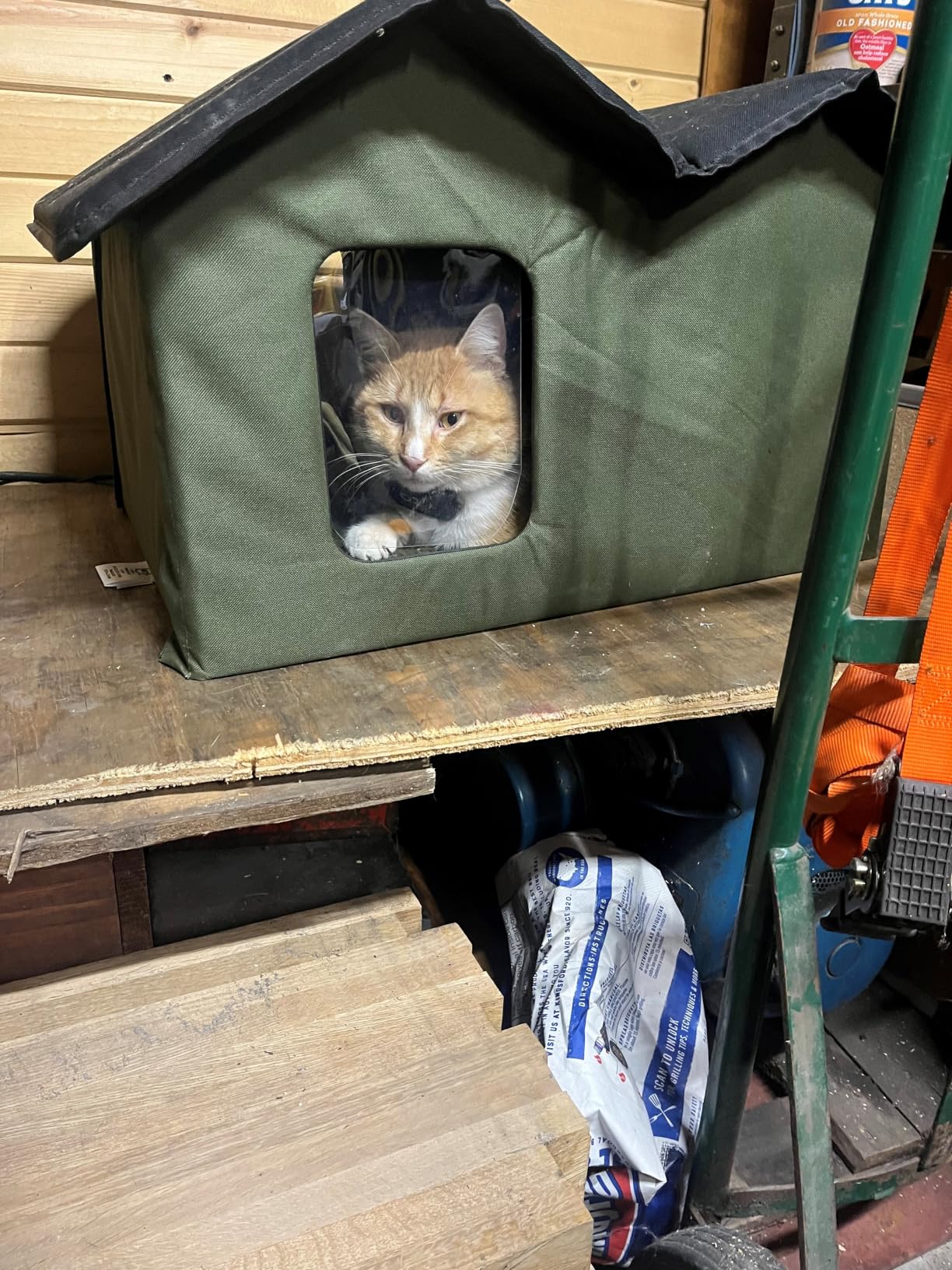 K&H Pet Products Extra-Wide Heated Cat House for Outside, Outdoor Cat House with 2 Safe Escape Doors, Weatherproof Insulated Stray & Feral Shelter with Waterproof Heated Bed, Safety Listed - Olive customer photo 1