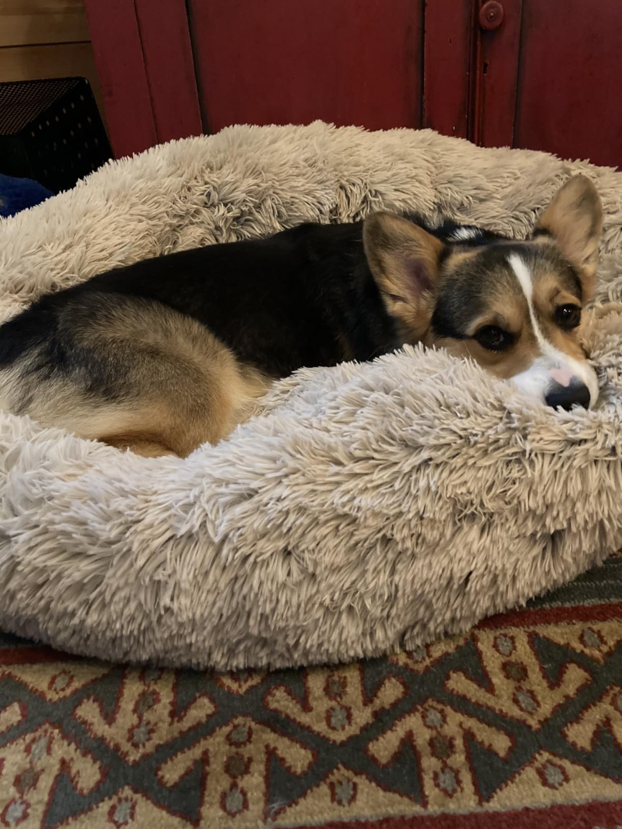 Best Friends by Sheri The Original Calming Donut Dog Bed for Small Dogs up to 25 lbs, Shag Faux Fur, Taupe, 23