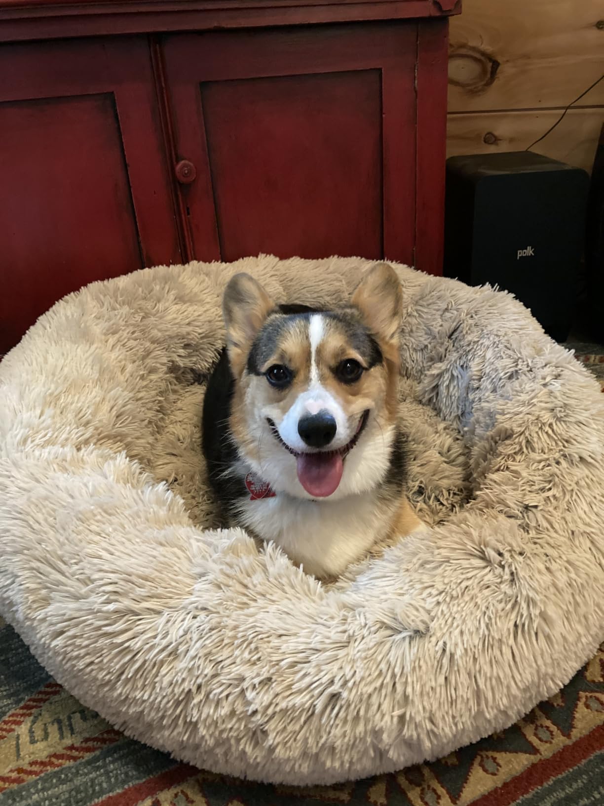 Best Friends by Sheri The Original Calming Donut Dog Bed for Small Dogs up to 25 lbs, Shag Faux Fur, Taupe, 23