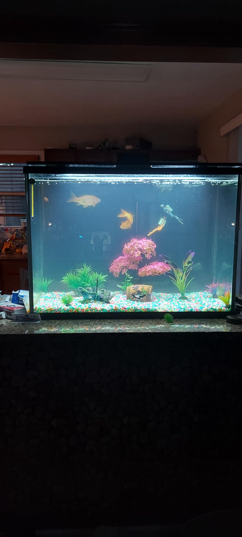 Tetra Whisper IQ Power Filter 20 Gallons, 130 GPH, with Stay Clean Technology customer photo 2