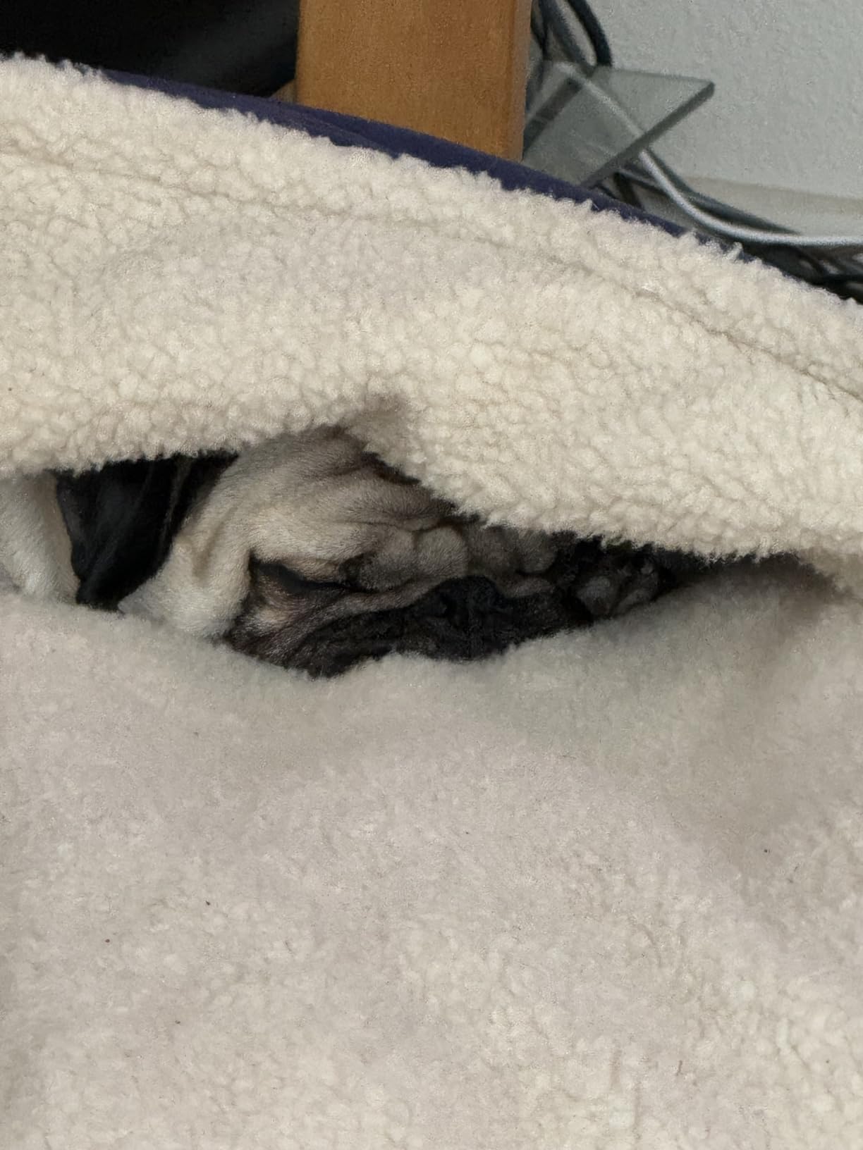 AmazonBasics Anti-Anxiety Calming Burrow Pet Cave Bed for Small and Medium Dogs, with Removable Nesting Cave Cover, Fits up to 35lbs Pets, 30 x 30 x 12.5 inches, Blue customer photo 1