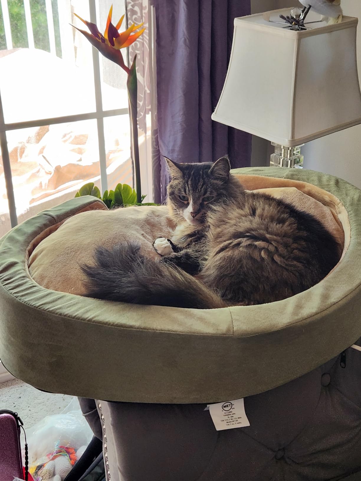 K&H Pet Products Heated Dog Bed Indoor, Thermo-Snuggly Sleeper with Removable Waterproof Heated Pad, Calming Pillow Pet Bed, Machine Washable, Safety Listed - Medium 26 X 20in Sage/Tan customer photo 2