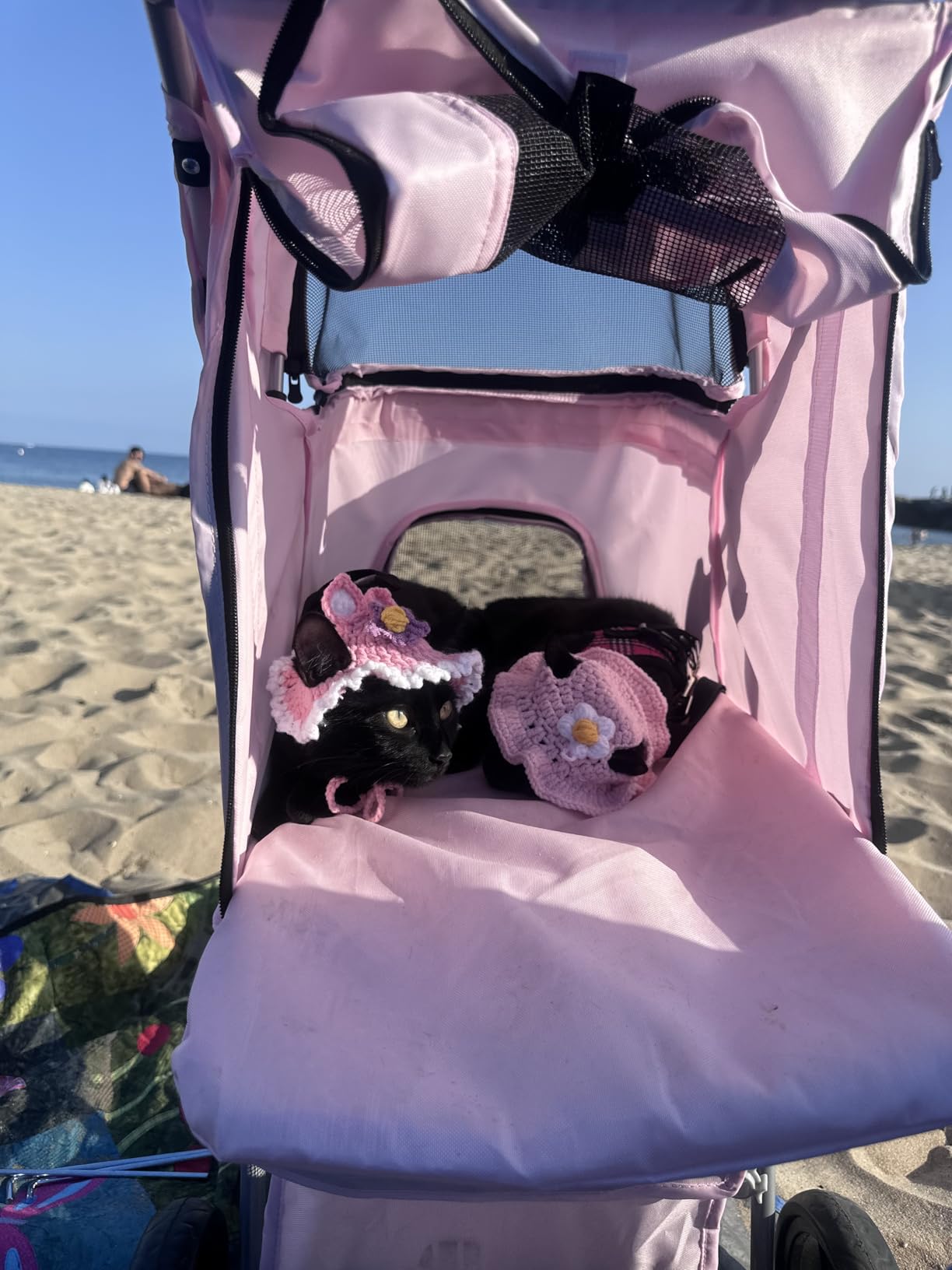 TRIXIE Foldable Pet Stroller for Cats and Dogs, Pet Carrier Strolling Cart with Weather Cover, Storage Basket, Cup Holder, Black | Lightweight, Compact and Portable, Easy to Travel customer photo 2
