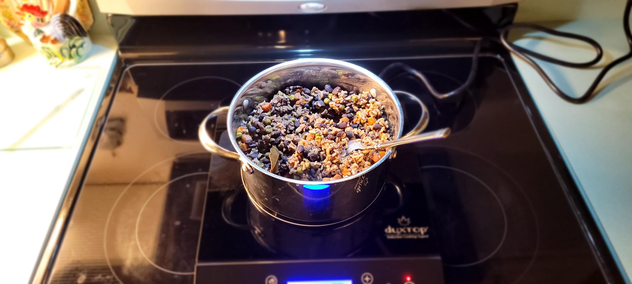 Duxtop Portable Induction Cooktop, Countertop Burner Induction Hot Plate with LCD Sensor Touch 1800 Watts, Black 9610LS BT-200DZ customer photo 2
