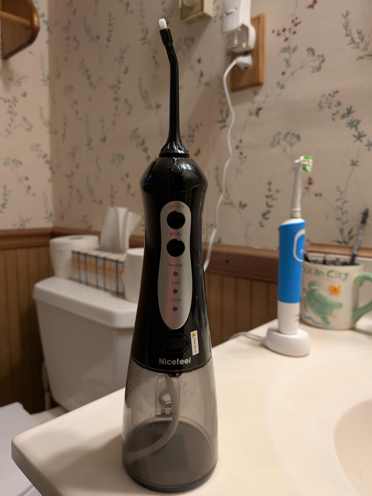 Nicefeel Water Flosser, 300ML Portable Water Dental Pick Cordless for Teeth, Braces, Sensitive Gum, Oral Irrigator for Travel & Home with 5 Jet Tips & 3 Modes, Rechargeable, IPX7 Waterproof, White customer photo 1