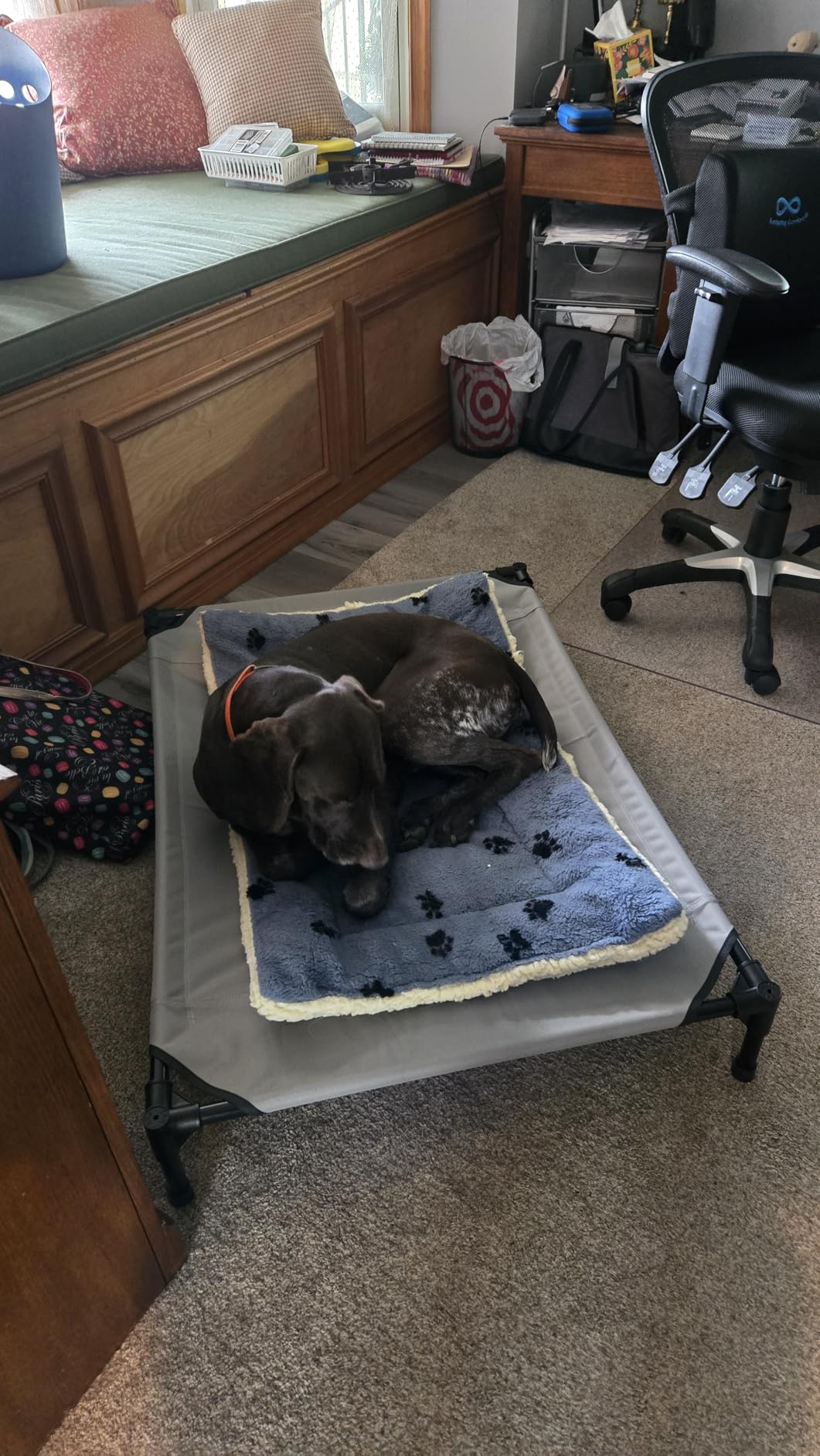 K&H Outdoor Elevated Dog Bed - Cooling Raised Dog Bed for Medium & Large Pets, Breathable Mesh Center Hammock Design, Indoor/Outdoor Washable Cover, Portable Metal Frame, Gray, Large 42x30in customer photo 2