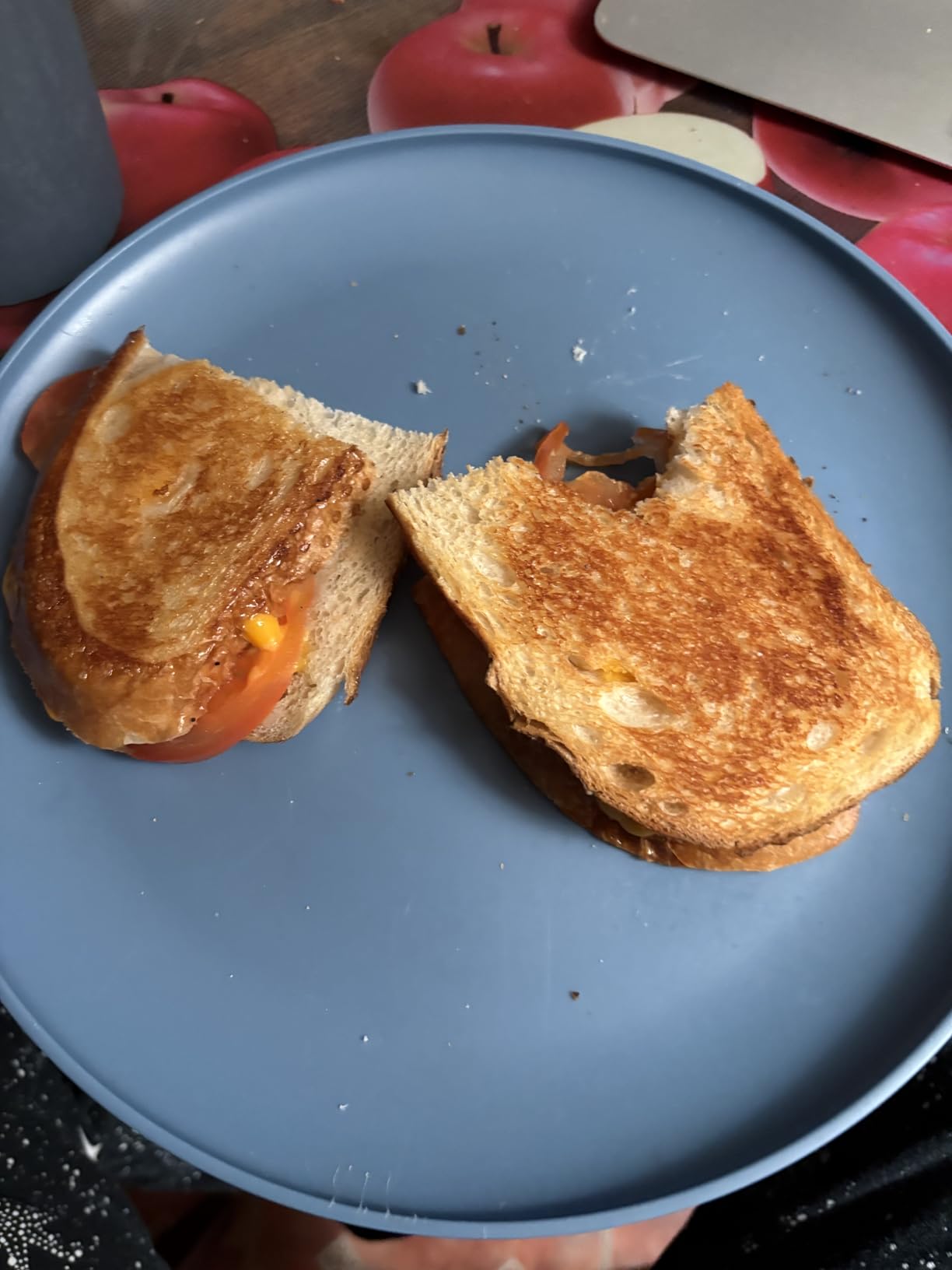 Proctor Silex Deluxe Hot Sandwich Maker With PFAS-Free Non-Stick Plates | Fits 2 Grilled Cheese, Reubens, Tortas Or Subs | Easy-Clean Durable Ceramic Surface | Stainless Steel | 25415MN customer photo 1