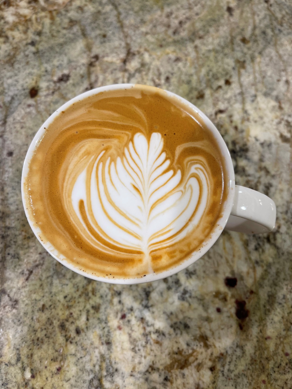 Breville BES878BSS Barista Pro Espresso Machine customer photo 1