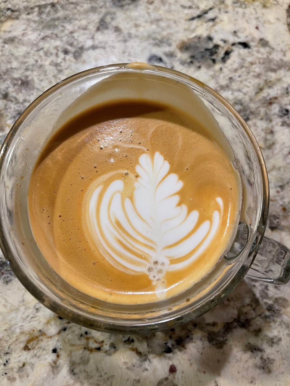 Breville BES878BSS Barista Pro Espresso Machine customer photo 2