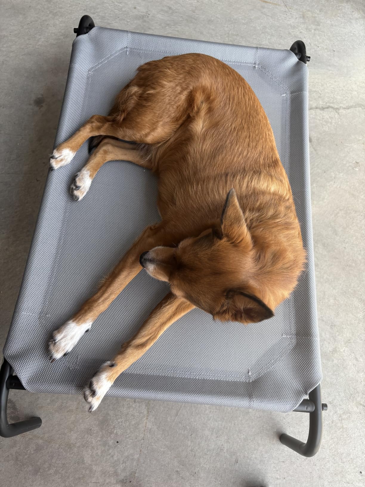 Heavy Duty Steel-Framed Portable Elevated Pet Bed, Elevated Cooling Pet Cot, 43.5