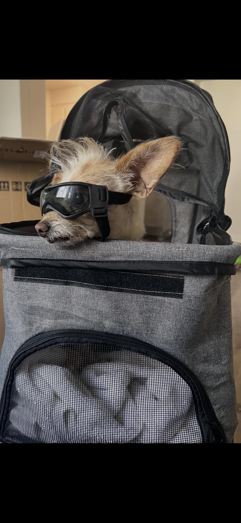 ZENY Foldable Pet Stroller, Cat/Dog Stroller with 4 Wheels | Pet Travel Carrier Strolling Cart with Storage Basket, Cup Holder (Black) customer photo 1
