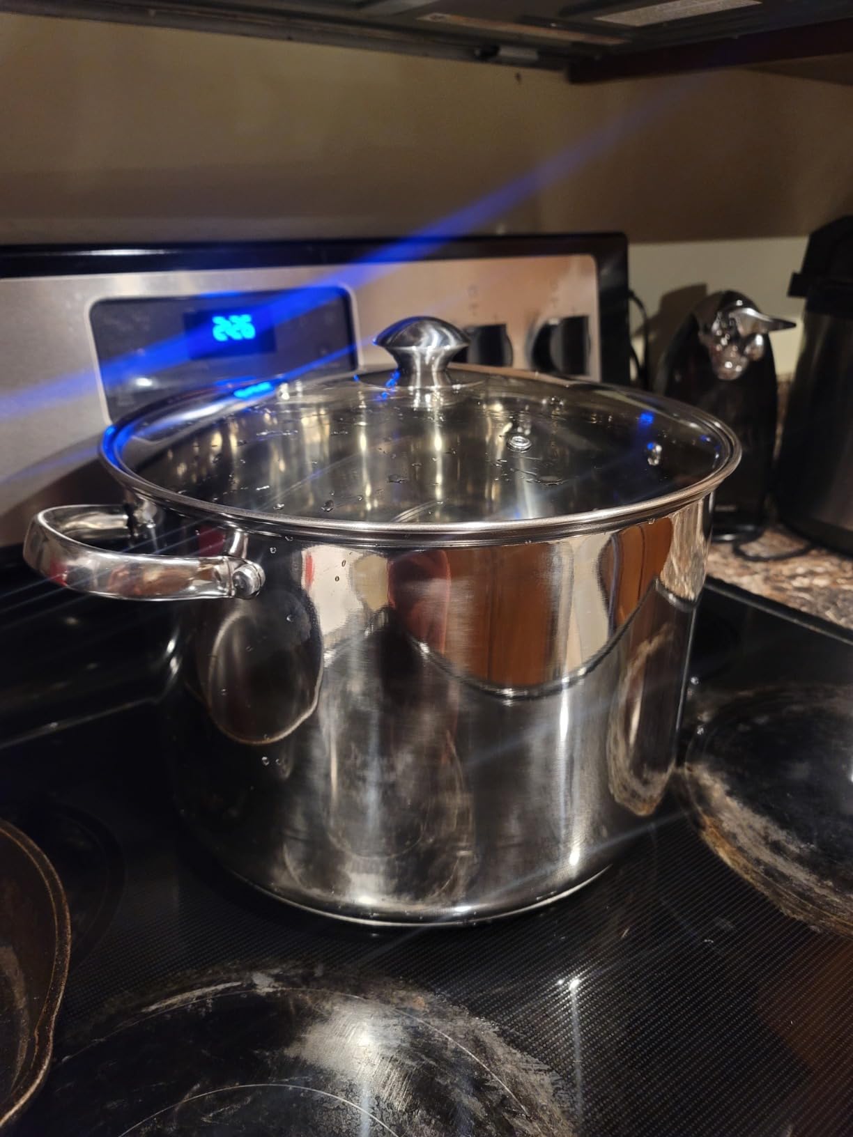 Ecolution Stainless Steel Stock Pot, Encapsulated Induction Ready Cooking Pot with Glass Lid, Oven Safe, Dishwasher Safe Soup Pot, 8-Quart customer photo 2