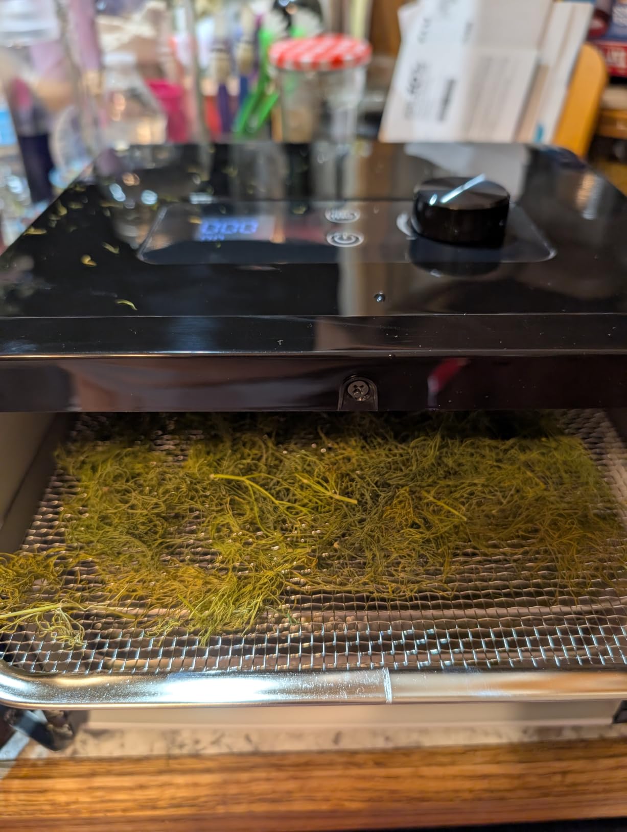 Elite Gourmet Food Dehydrator, Stainless Steel Trays, Adjustable Temp | makes jerky, herbs, fruit & veggies into snacks - also great for meat & mushrooms customer photo 2