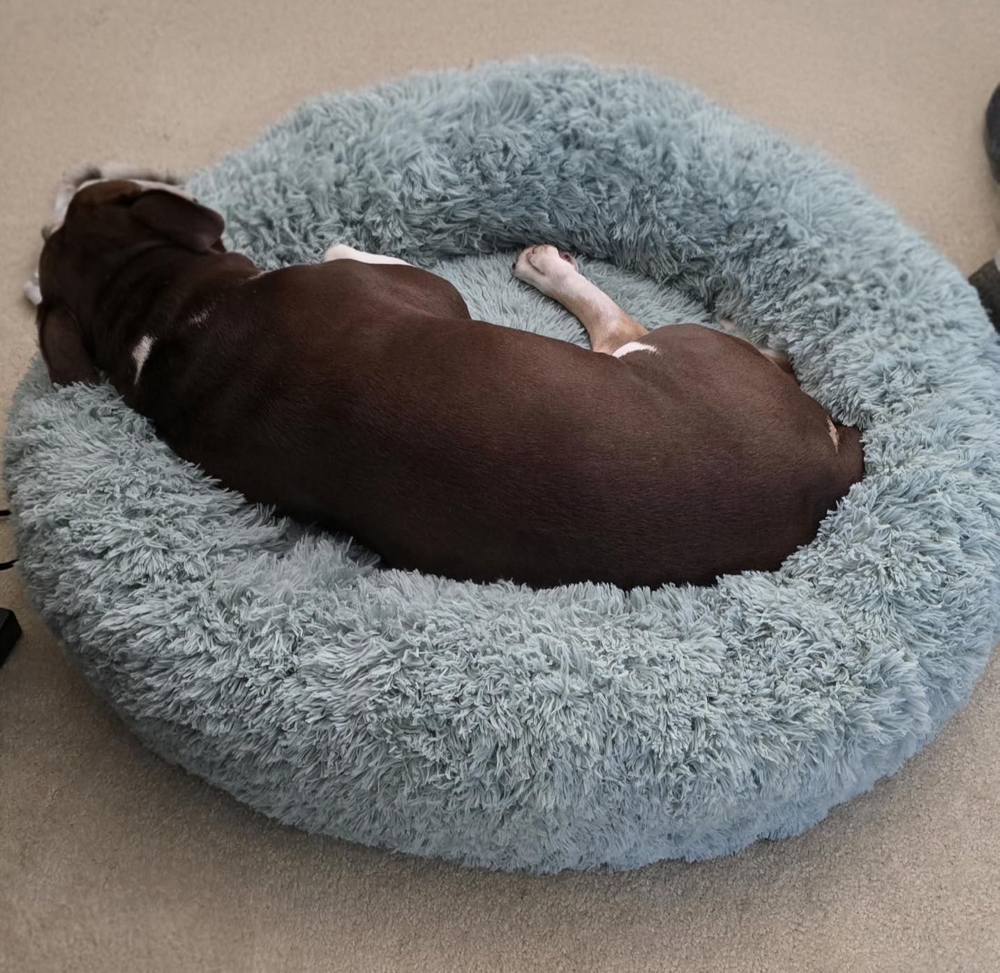 Bedsure Calming Dog Bed Medium Size Dog Donut Washable Pet Bed, 30ins Camel | Oprah Daily Sleep Award, Fluffy Faux Fur Round Cuddler, Anti-Slip Bottom, Anti-Anxiety, Deep Sleep for Pets Up to 45 Lbs customer photo 1