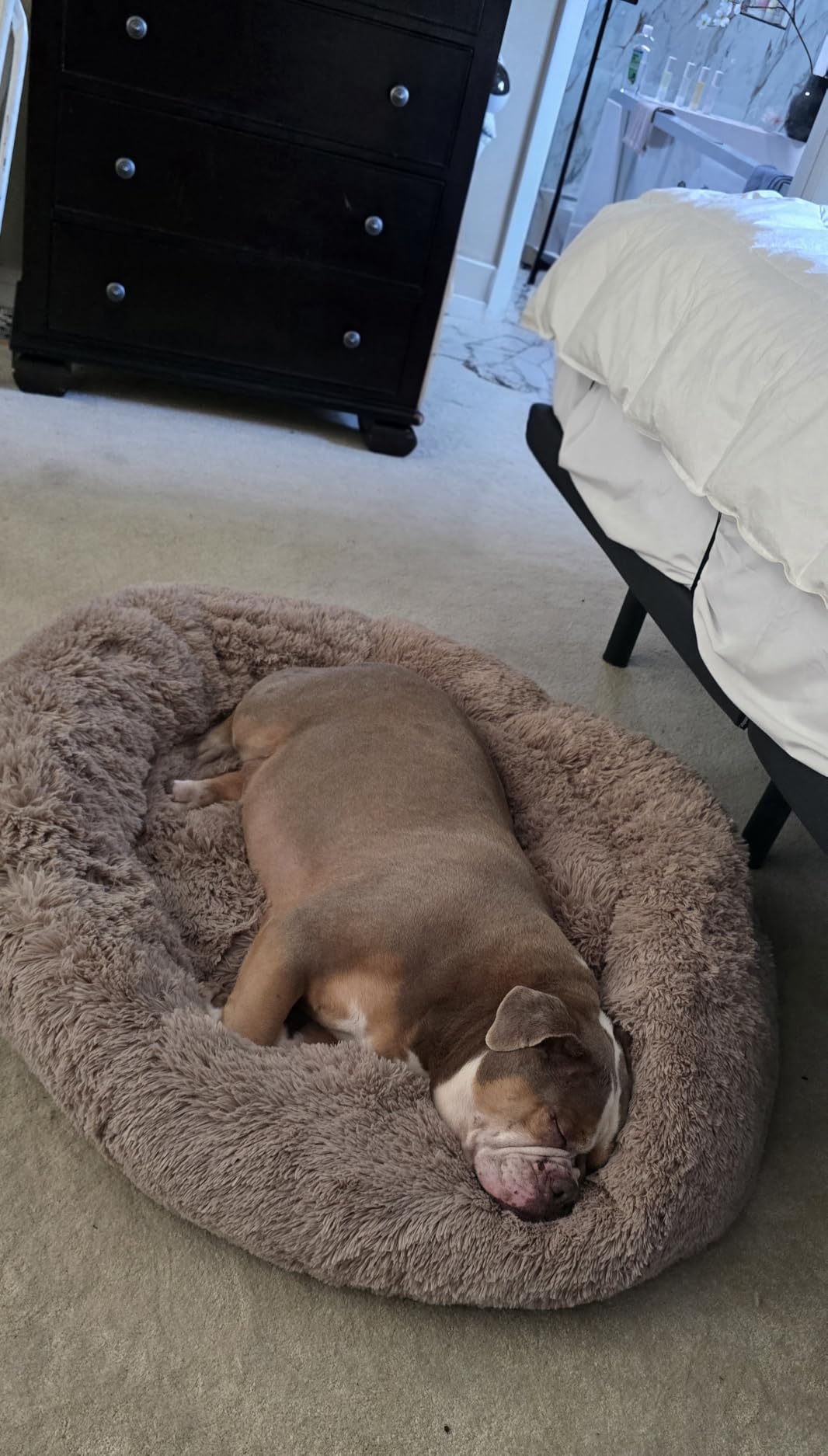 Bedsure Calming Dog Bed Medium Size Dog Donut Washable Pet Bed, 30ins Camel | Oprah Daily Sleep Award, Fluffy Faux Fur Round Cuddler, Anti-Slip Bottom, Anti-Anxiety, Deep Sleep for Pets Up to 45 Lbs customer photo 2