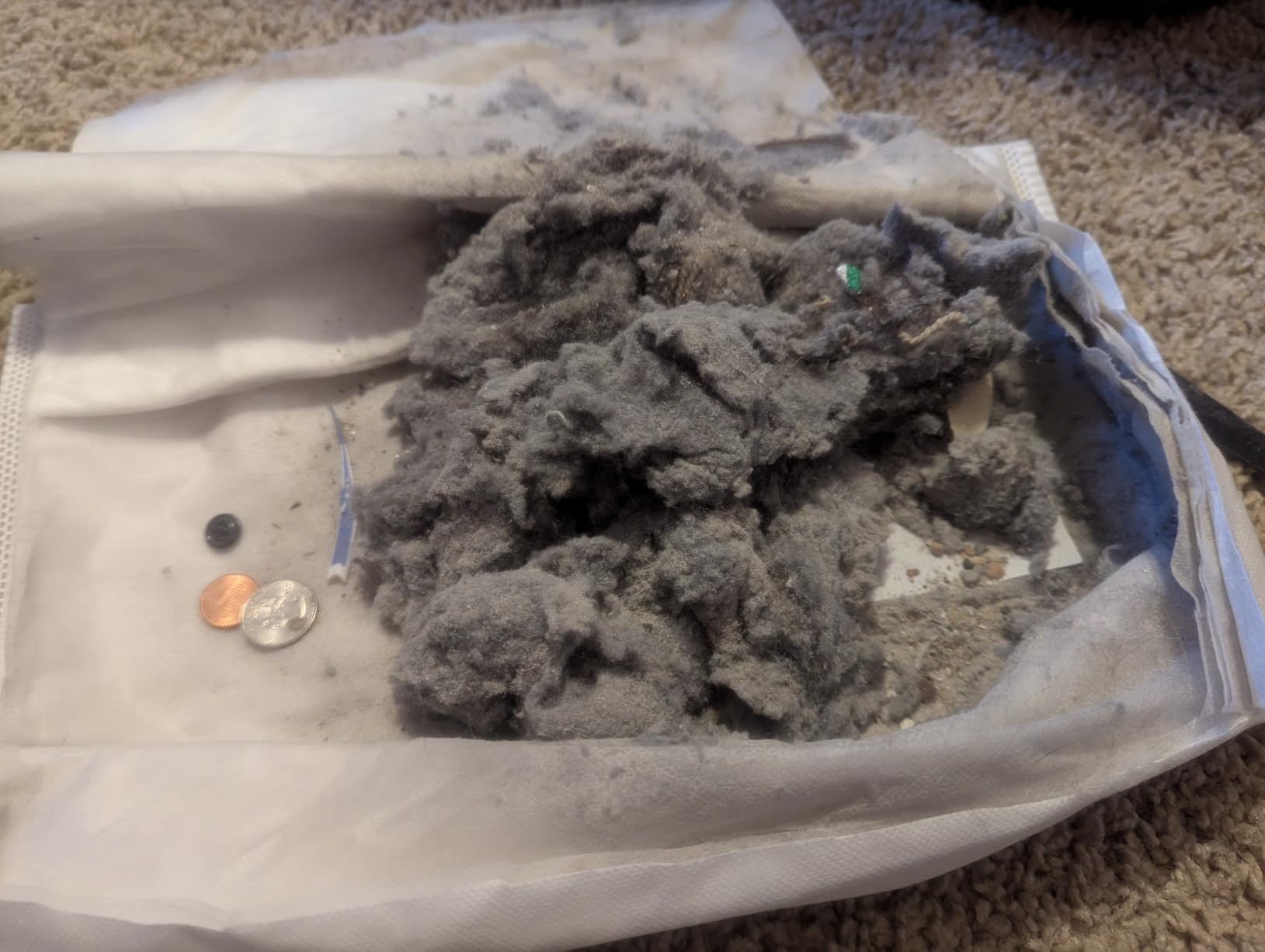 Kenmore 600 Series Pet Friendly Lightweight Bagged Canister Vacuum with Pet PowerMate, Pop-N-Go Brush, 2 Motors, HEPA Filter customer photo 2