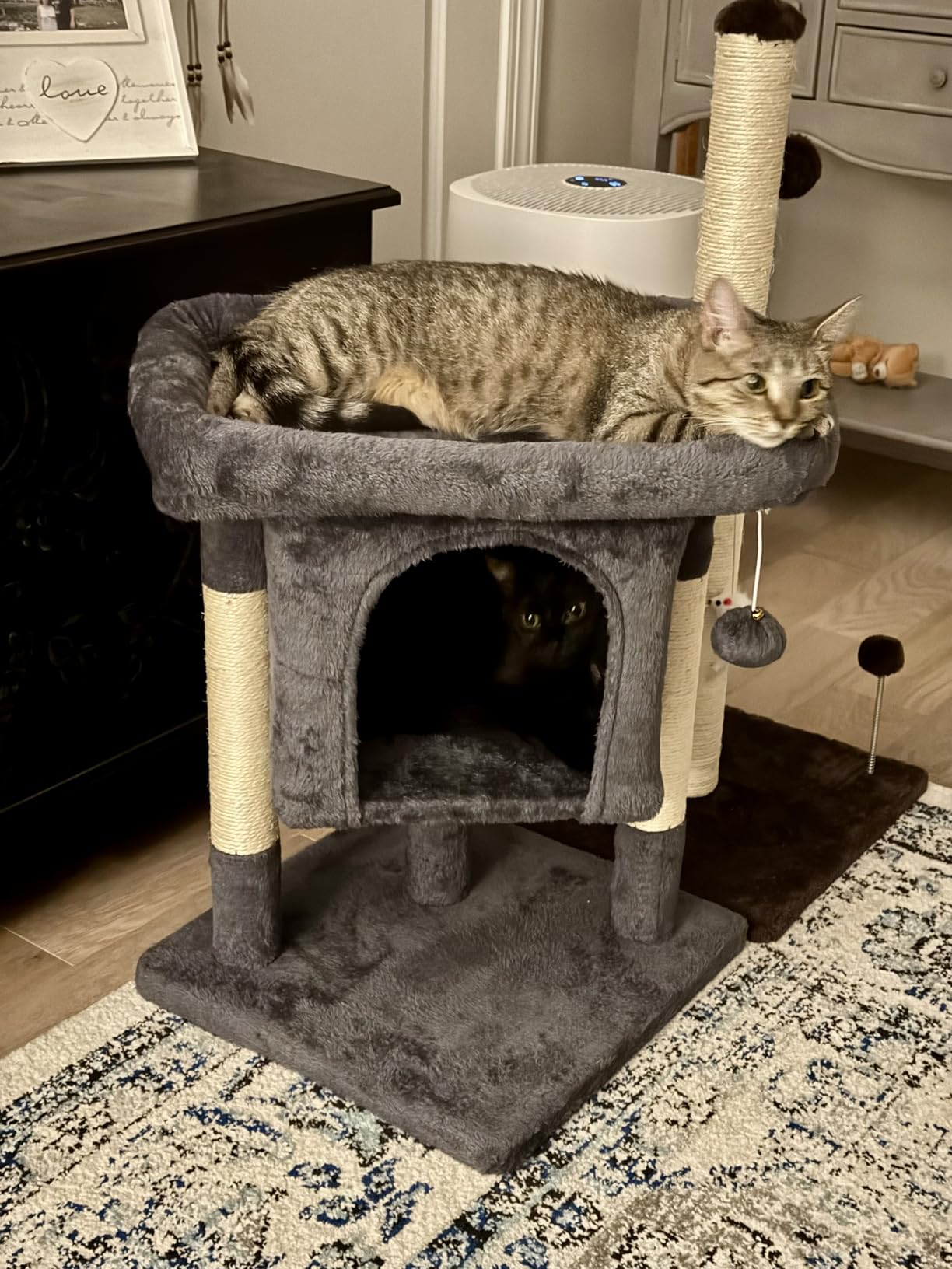 Yaheetech 23.5in Small Low-Profile Cat Tree Condo with Scratching Posts | Space-saving 16x16in base, soft plush cover, solid particleboard frame, fits tiny apartments, dark gray customer photo 2