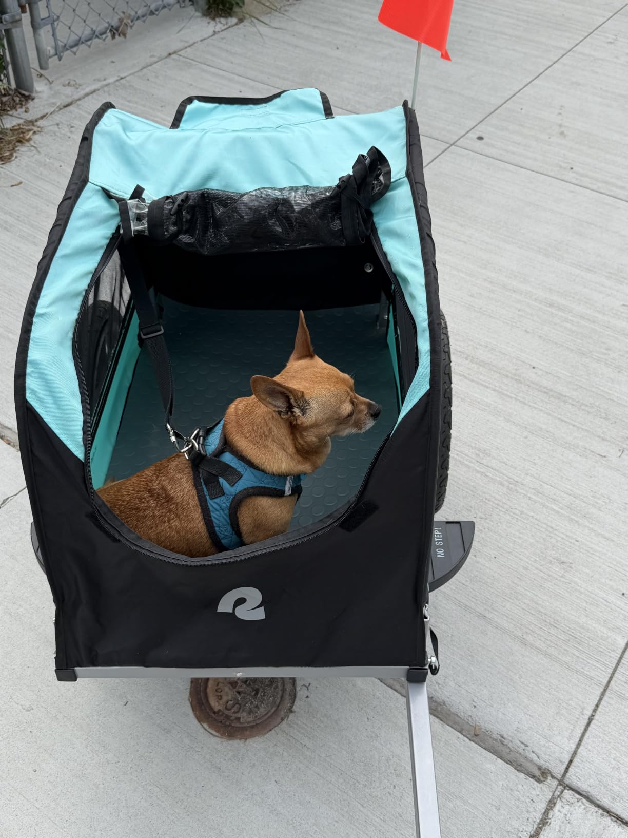 Retrospec Rover Waggin' Pet and Dog Bike Trailer with Weather-Resistant Canopy & Mesh Shield - Foldable Frame, 16in Wheels with Storage Pouch & Internal Safety Leash Supports up to 50 lbs customer photo 2