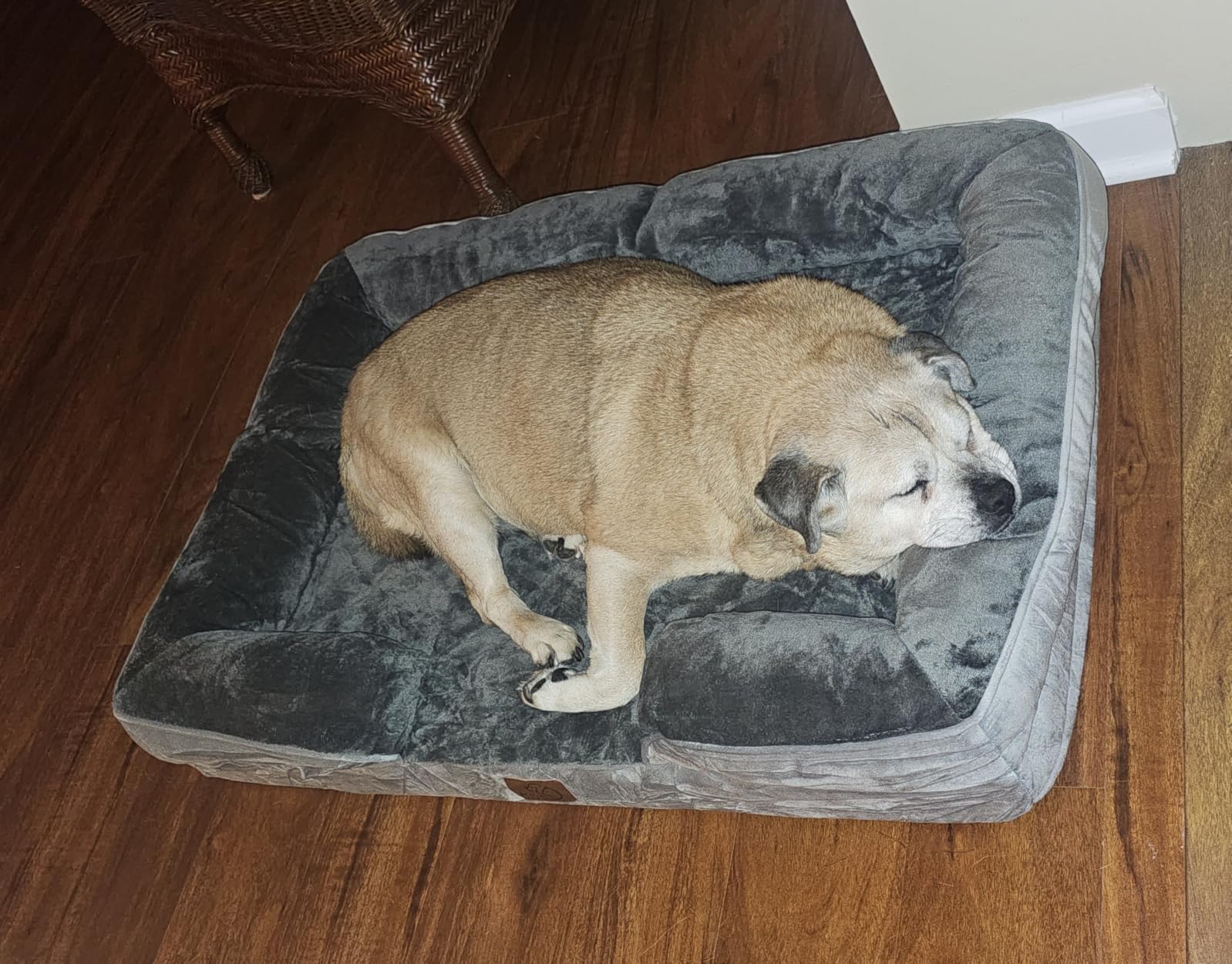 Bedsure Orthopedic XXL Dog Bed Extra Large with Removable Washable Cover, 52 Inch Classic Comfy Giant Dog Couch Sofa Waterproof, Cozy Bolster Sides, Nonslip Bottom, Pet Bed for Senior Dogs, Grey customer photo 2