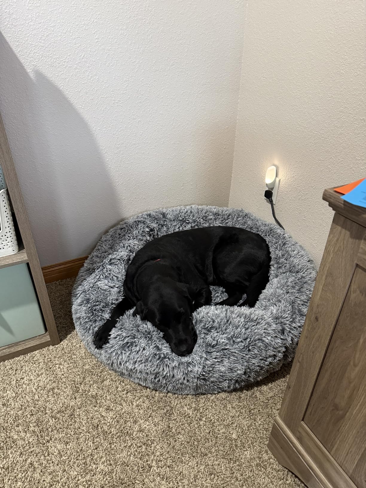 Bedfolks Calming Donut Dog Bed, 36 Inches Round Fluffy for Large Dogs, Anti-Anxiety Plush, Machine Washable (Dark Grey, Large) customer photo 2