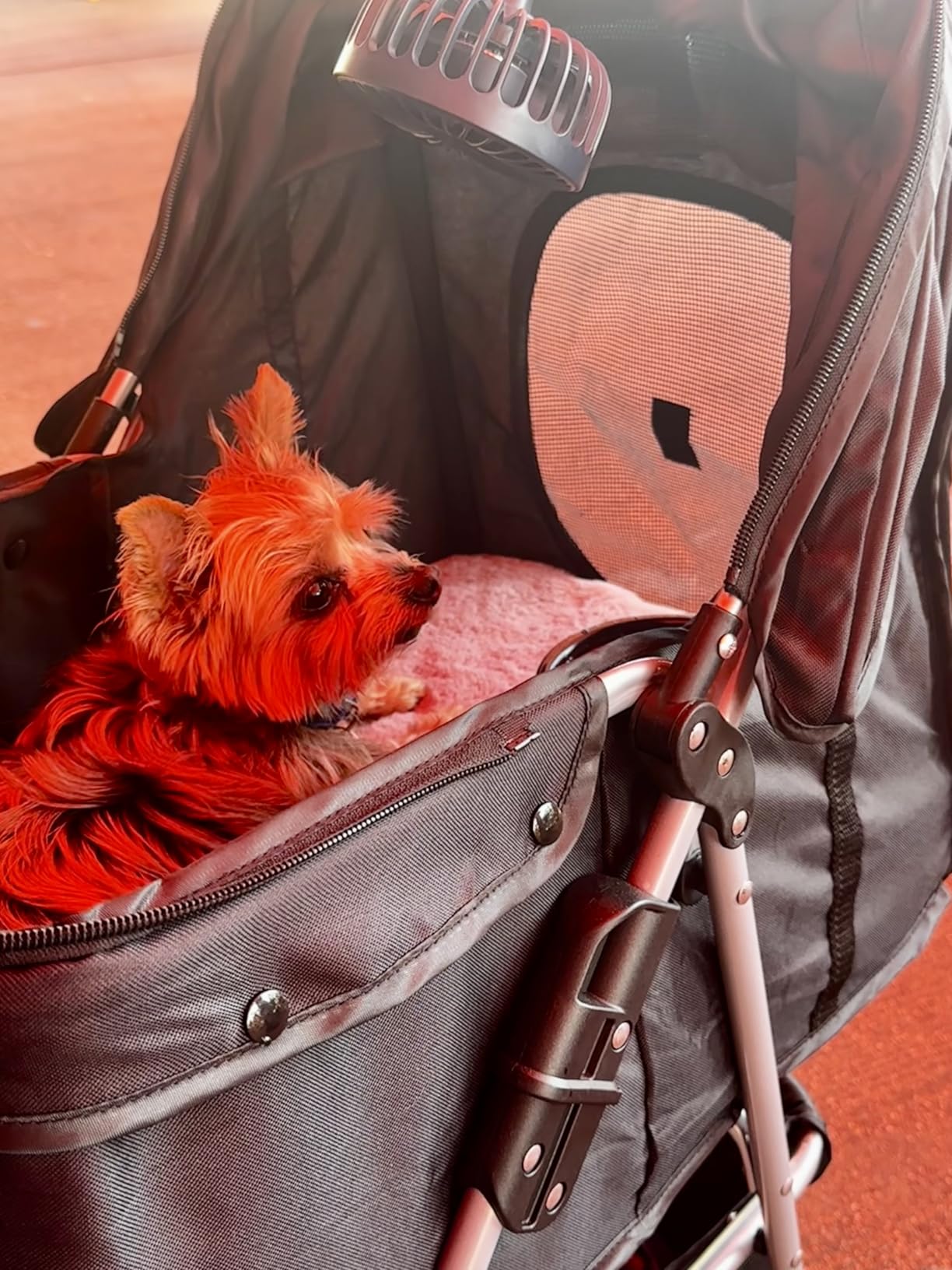 Foldable Pet Stroller for Cats and Dogs 3 Wheels Carrier Strolling Cart with Weather Cover, Storage Basket + Cup Holder (Black) customer photo 1
