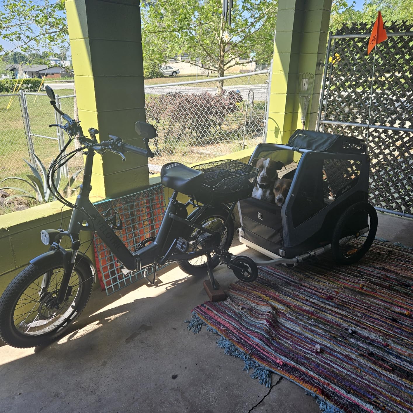 Burley Bark Ranger Pet Bike Trailer customer photo 2