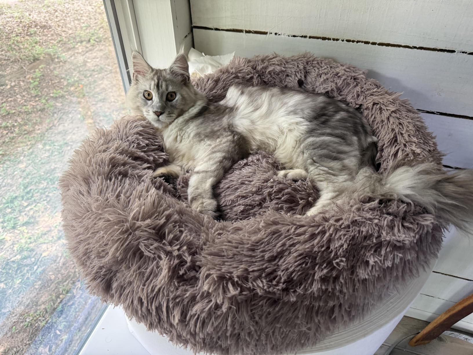 Western Home Calming Donut Large Dog Bed Pet Bed, 36