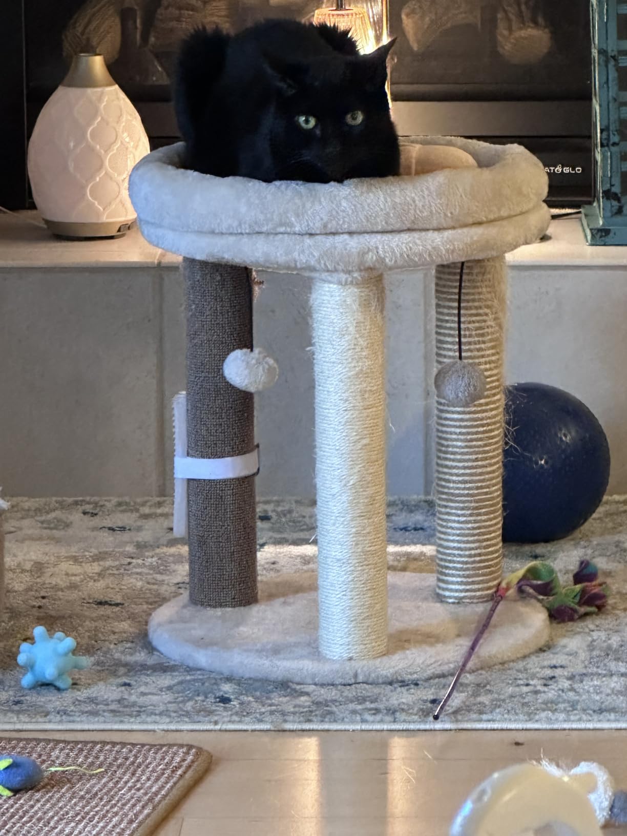 MECOOL 4in1 Small Cat Tree,Scratching Post with Tower Soft Bed, Sisal Carpet Jute Posts with Three Hanging Ball Toys and Massage Brush for Indoor Cats and Kittens customer photo 1