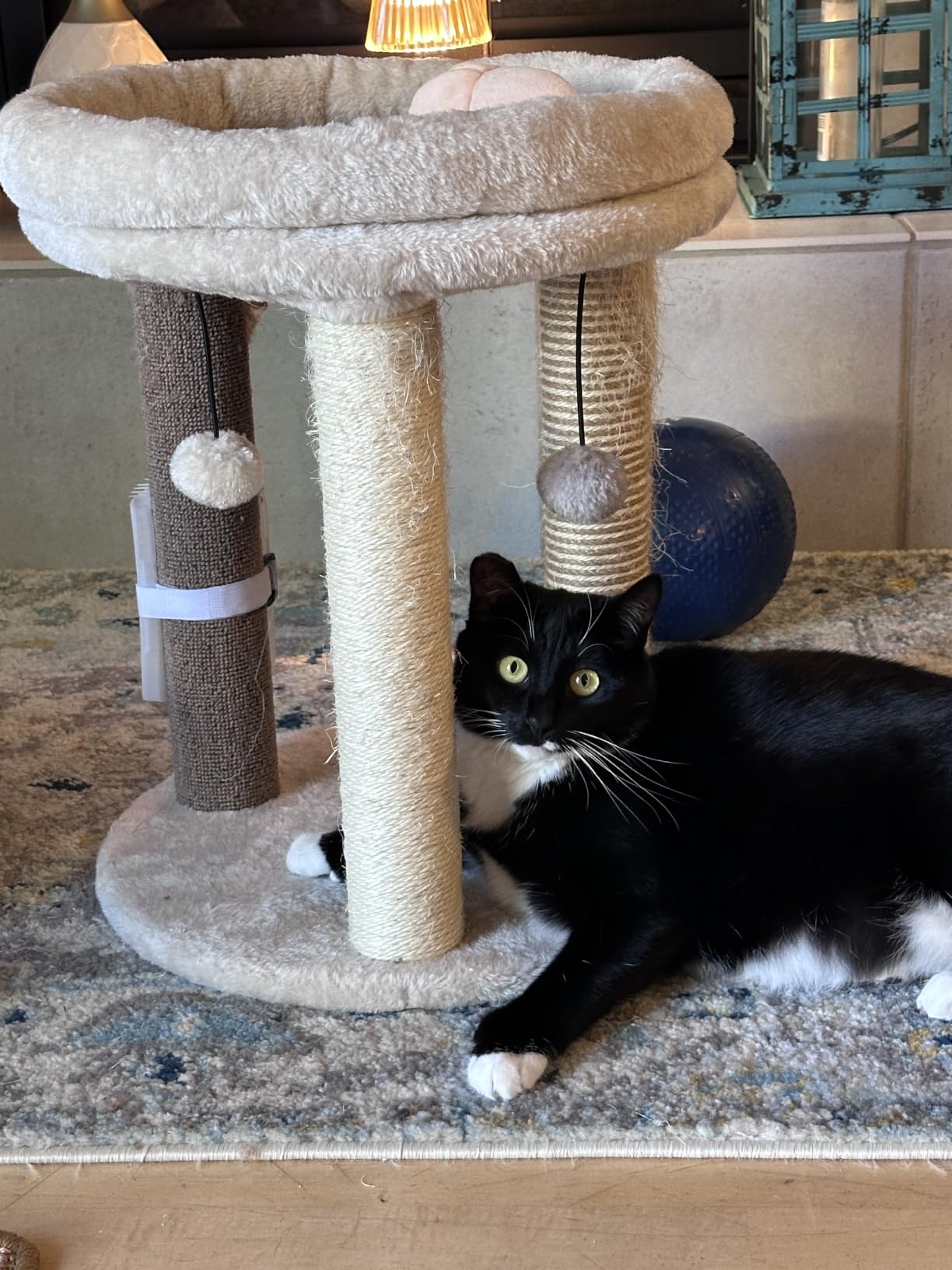 MECOOL 4in1 Small Cat Tree,Scratching Post with Tower Soft Bed, Sisal Carpet Jute Posts with Three Hanging Ball Toys and Massage Brush for Indoor Cats and Kittens customer photo 2