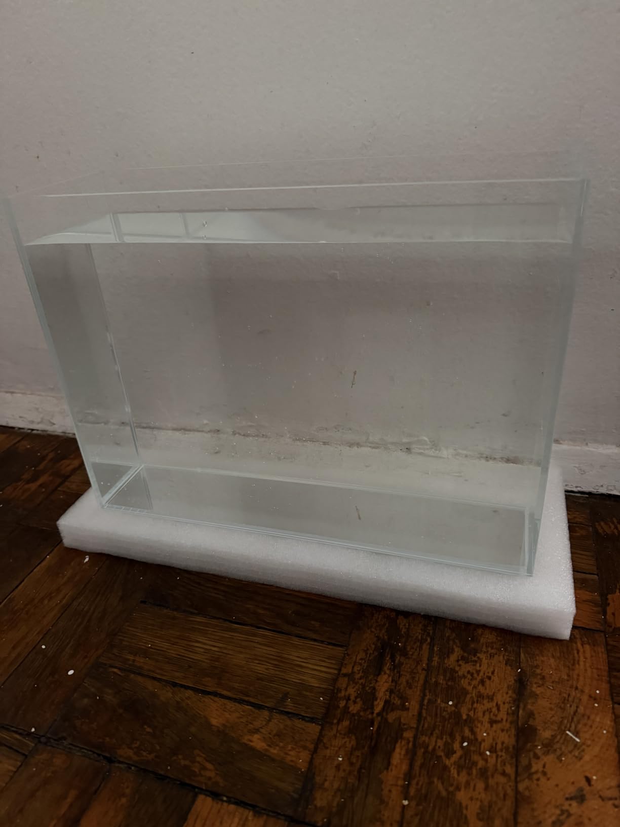 LAQUAL 10 Gallon Ultra Clear Glass Fish Tank, Rimless Low Iron Aquarium for Betta/Nano/Goldfish/Snail/Shrimp customer photo 1