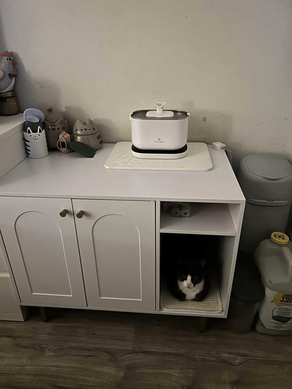 Hzuaneri Cat Litter Box Enclosure,Hidden Litter Box Furniture with Storage, Large Wooden Cabinet with Sisal Mat, Modern Cat Washroom for Living Room, Bedroom, Entryway, White and Gold 01503GCLB customer photo 2