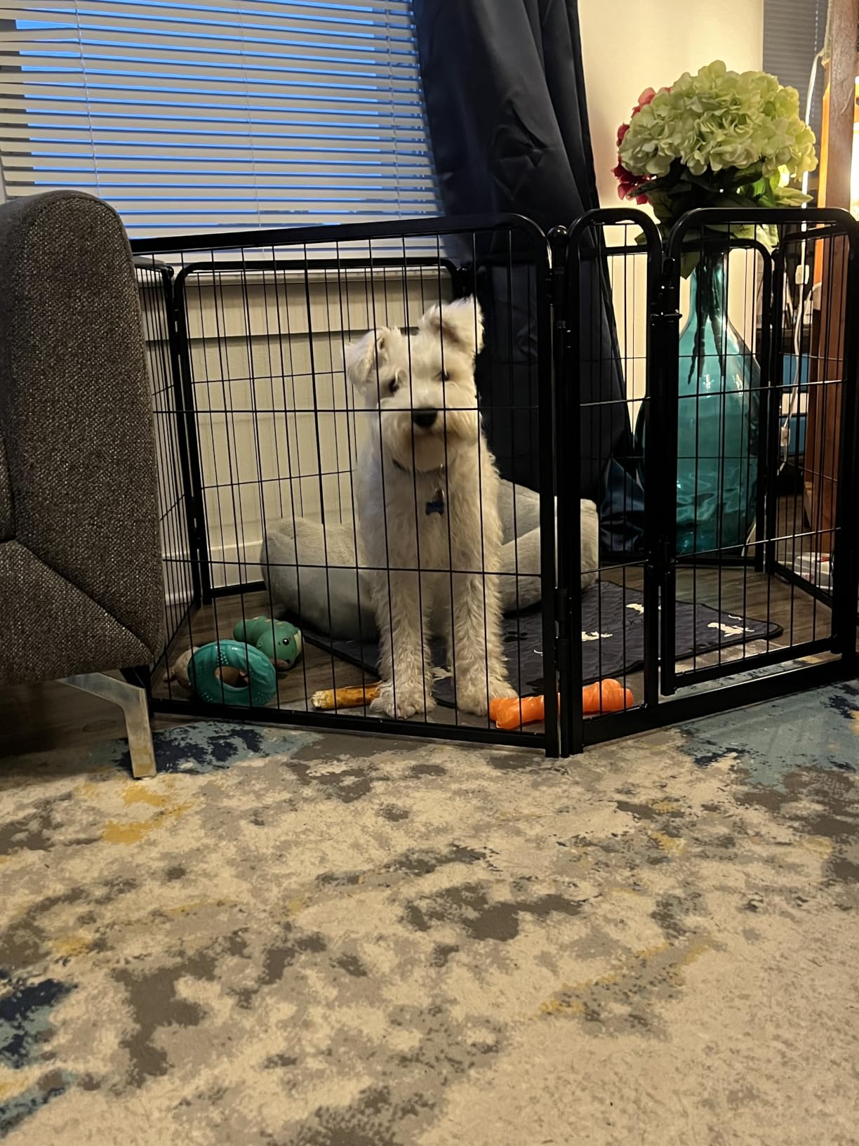 FXW Homeplus Unleashed Indoor Dog Playpen - Stress-Free and Safe Play, Heavy Duty 24 Inch 6 Panels Dog Pen for Puppy and Small Dogs, Black customer photo 1