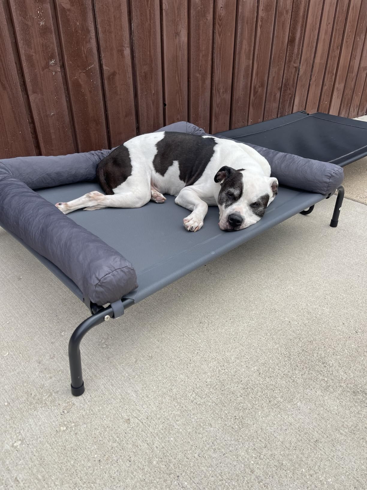 WESTERN HOME Cooling Elevated Dog Bed for Large Dogs, Portable Indoor & Outdoor Raised Dog Bed with Breathable Mesh, Chew Proof Pet Hammock Cots with Removable and Waterproof Bolsters customer photo 2