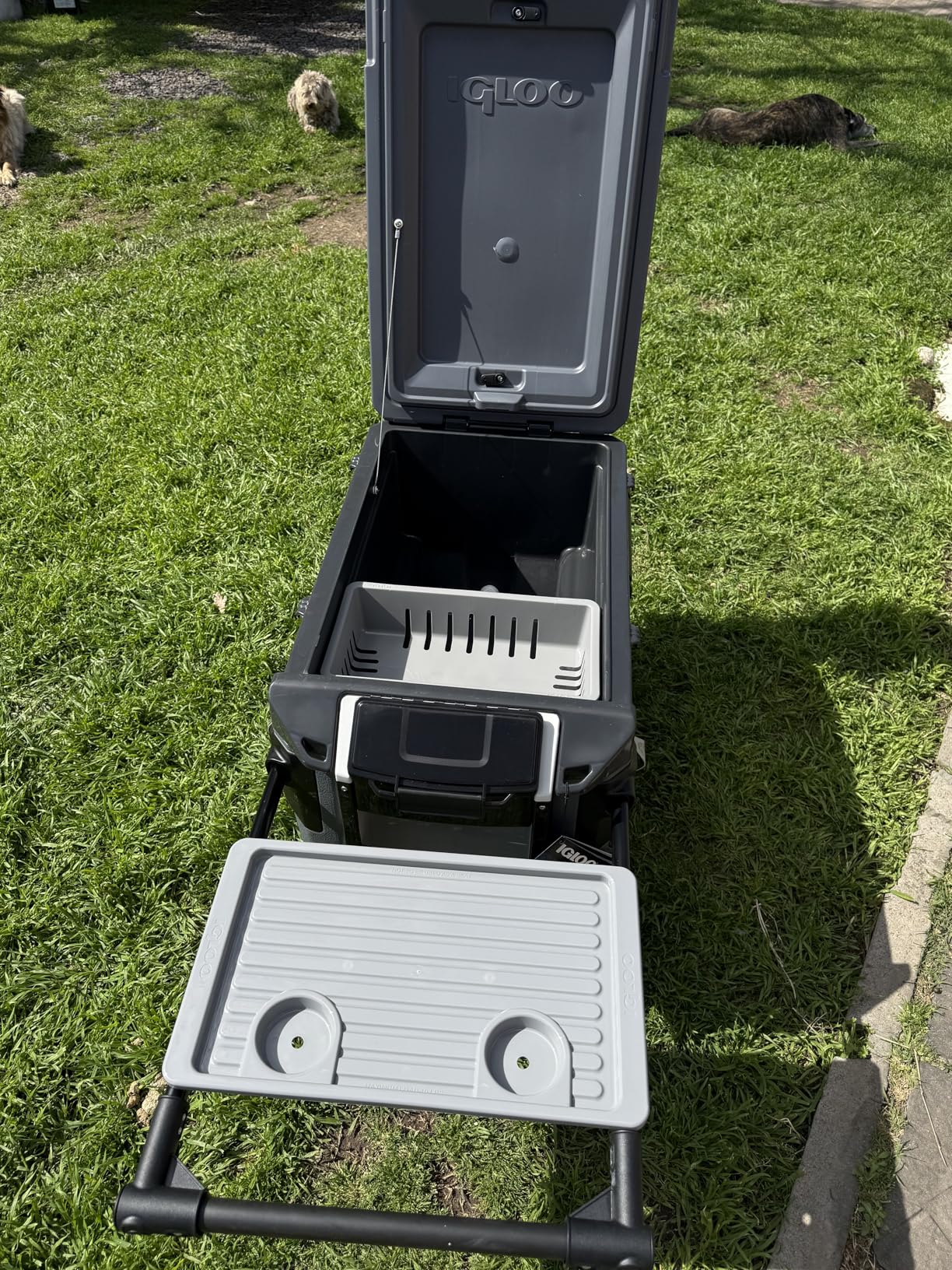 Igloo Trailmate Journey 70Qt Wheeled Cooler, Insulated Hard Shell Ice Chest customer photo 2