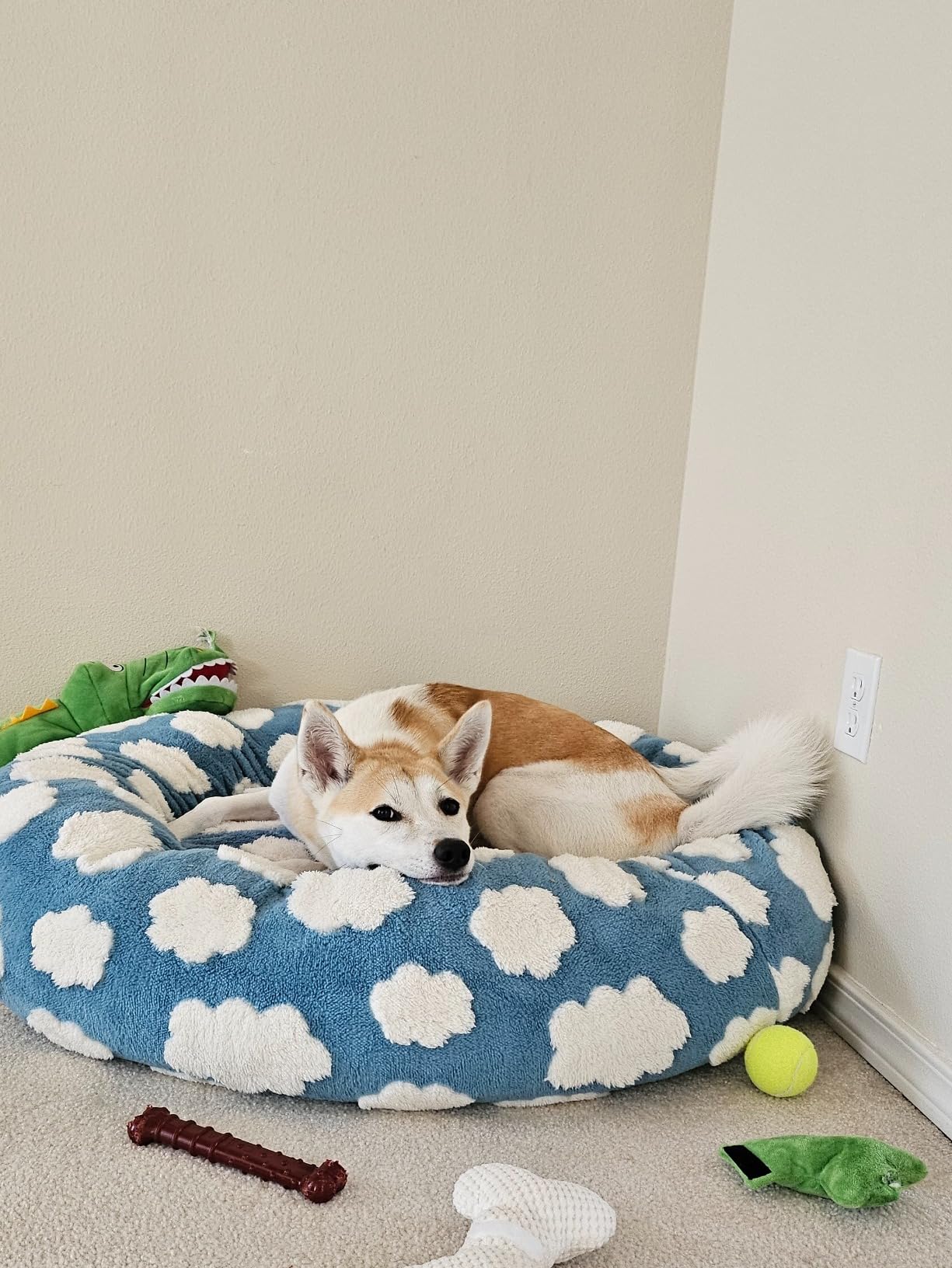 Lesure Shown on TV Jacquard Donut Dog Beds Large Sized Dog, Purple 36x36x8in | Orthopedic Calming Pet Bed Sofa, Original Design Pattern, Washable Cover, Cute Home Decor as Gift for Pet, Anti Slip Bottom customer photo 1
