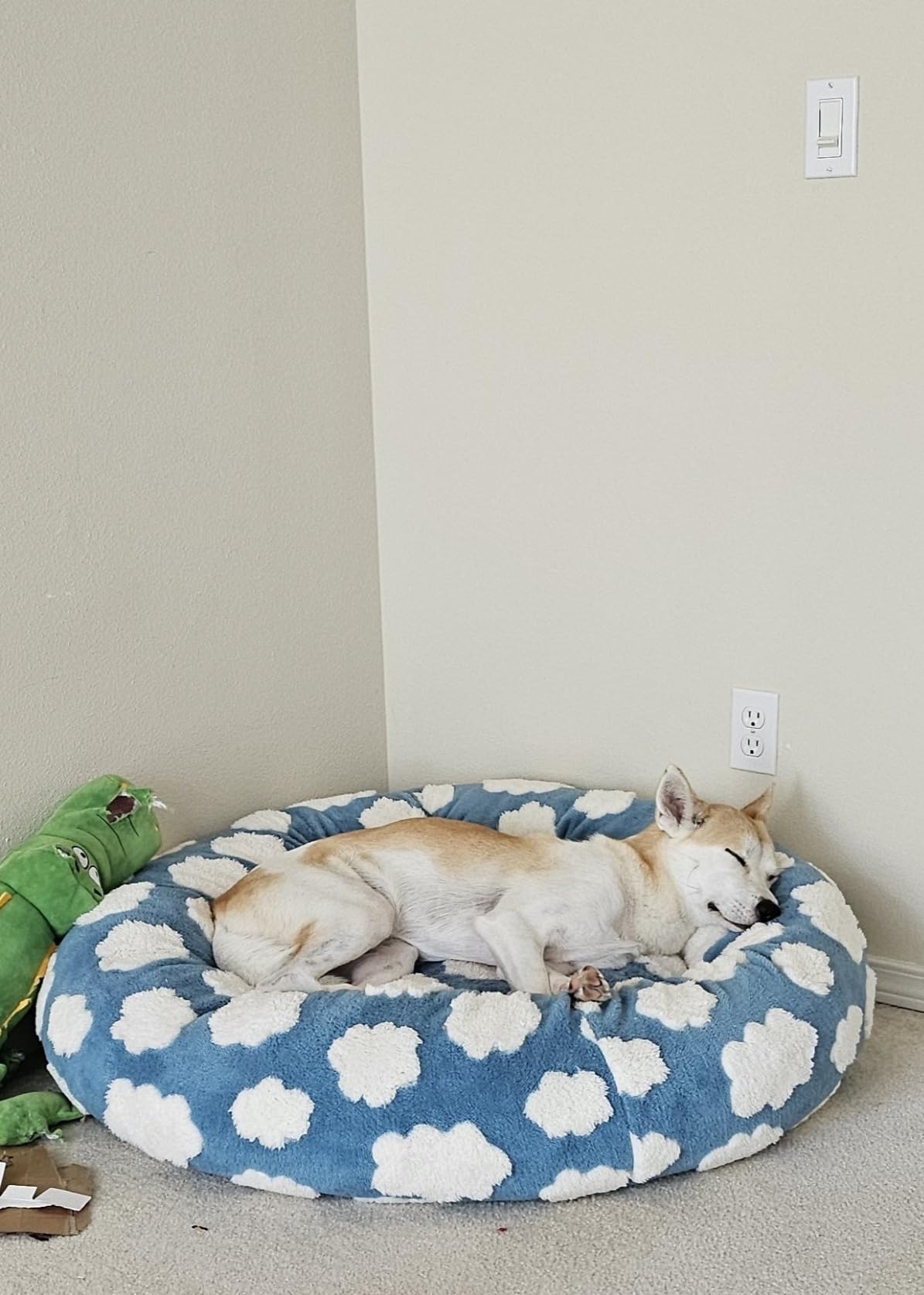 Lesure Shown on TV Jacquard Donut Dog Beds Large Sized Dog, Purple 36x36x8in | Orthopedic Calming Pet Bed Sofa, Original Design Pattern, Washable Cover, Cute Home Decor as Gift for Pet, Anti Slip Bottom customer photo 2