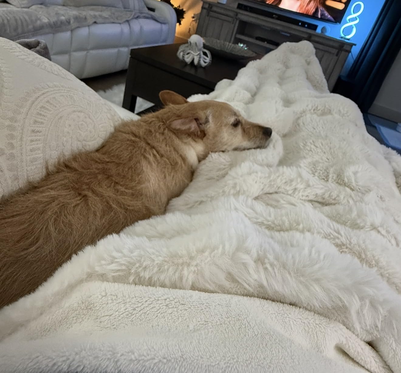 Cozy Bliss Faux Fur Throw Blanket for Couch, Fuzzy Soft Plush Thick Bubble Blanket for Sofa Bedroom Living Room, 50 * 60 Inches Tie-dye Taupe customer photo 1