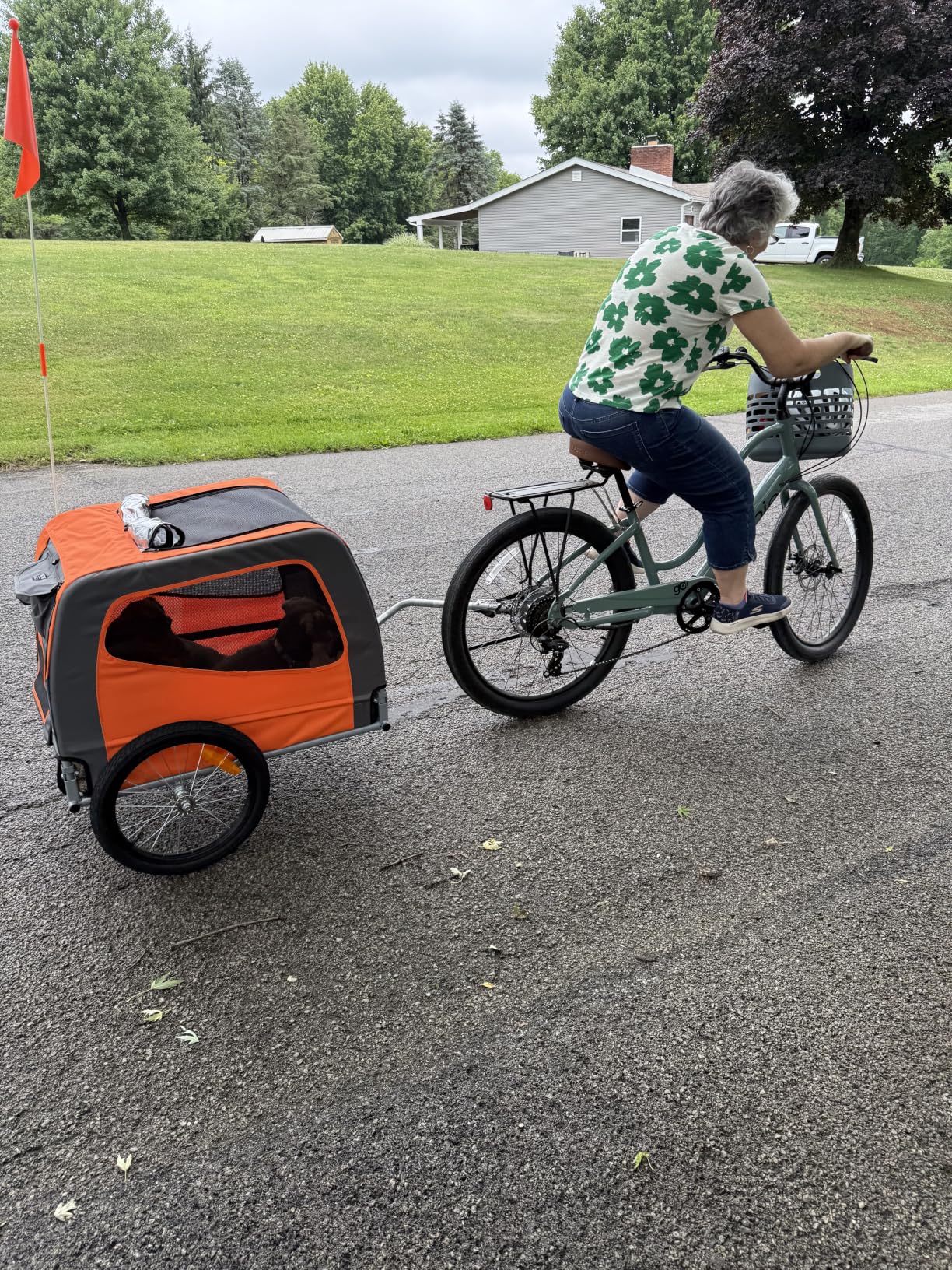 VEVOR Dog Bike Trailer, Supports up to 66 lbs, Pet Cart Bicycle Carrier for Small & Medium Dogs, Easy Folding Frame with Quick Release Wheel, Universal Bicycle Coupler, Reflector, Flag, Internal Leash customer photo 2