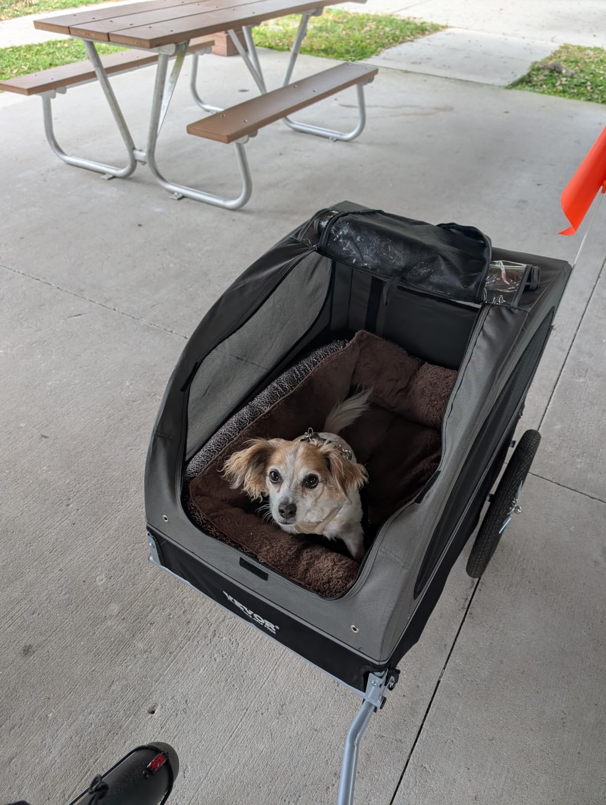 VEVOR Dog Bike Trailer, Supports up to 88 lbs, Pet Cart Bicycle Carrier, Easy Folding Frame with Quick Release Wheels, Universal Bicycle Coupler, Reflectors, Flag, Collapsible to Store customer photo 1