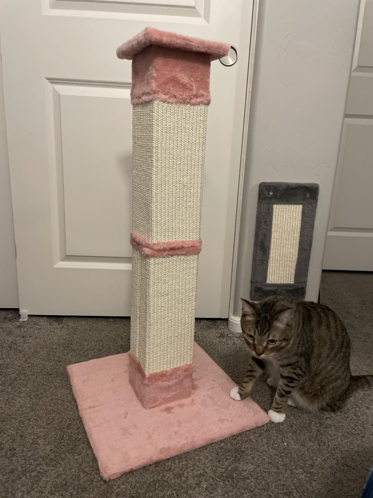 SOCATER Cat Scratching Post 33 Inch Nature Sisal Cat Scratch Post for Indoor Cats, Large Cat Scratcher Protect Your Furniture, for All Breeds customer photo 1