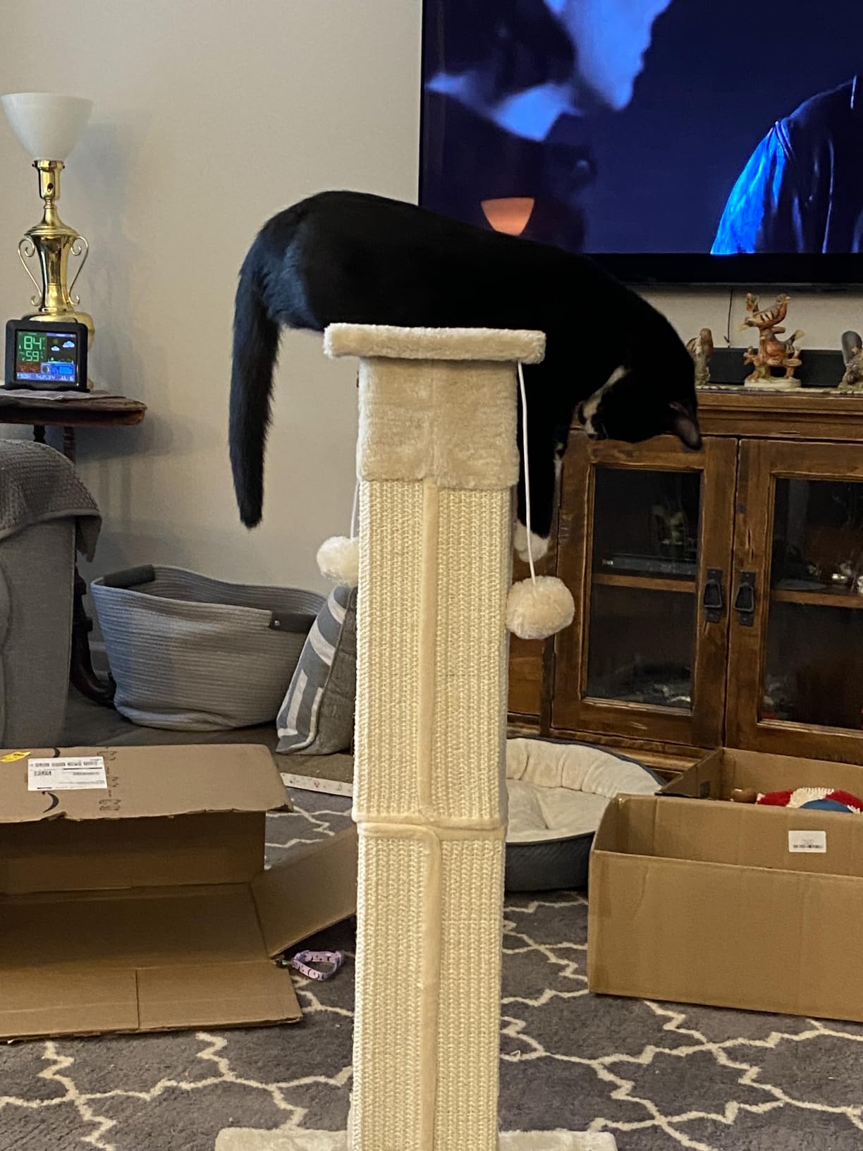 SOCATER Cat Scratching Post 33 Inch Nature Sisal Cat Scratch Post for Indoor Cats, Large Cat Scratcher Protect Your Furniture, for All Breeds customer photo 2