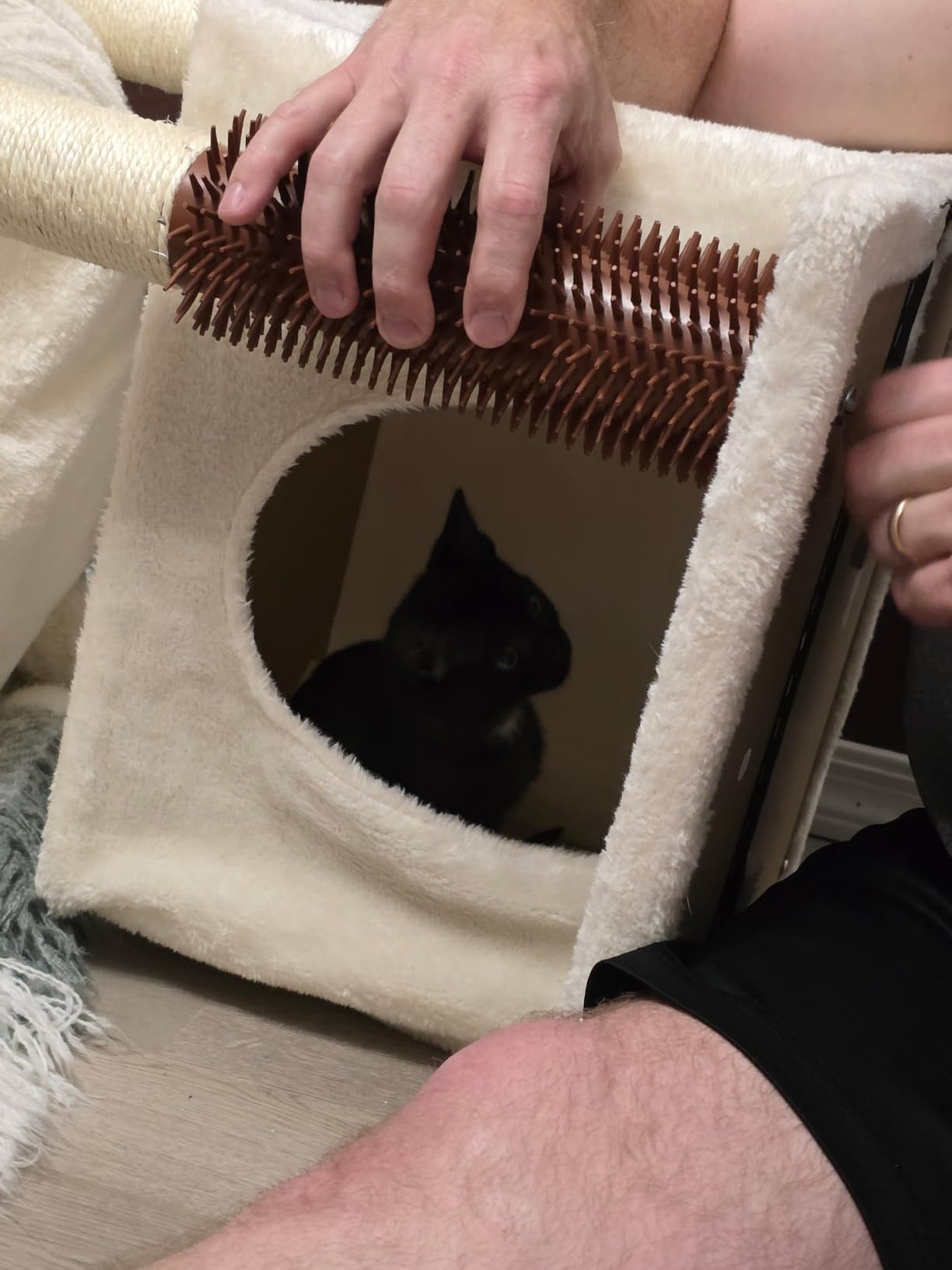 Cat Tree 32 Inches Small Cat Tree for Large Cats Adult Cat Tower with Scratching Post,15.7