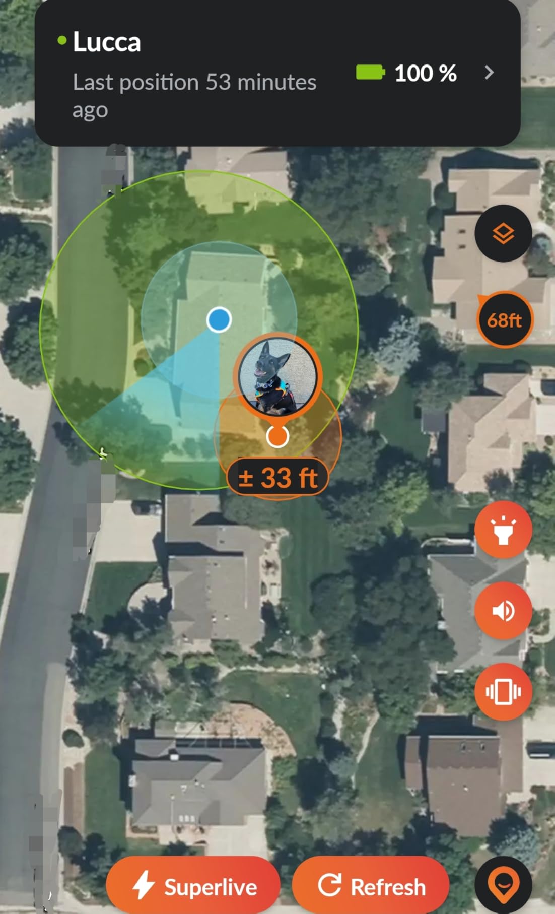 Weenect Dog XT - NEW GPS Collar for Dogs | XL Antenna | Waterproof | Ultra-Durable Integrated Julius-K9 Collar | Subscription Required customer photo 1