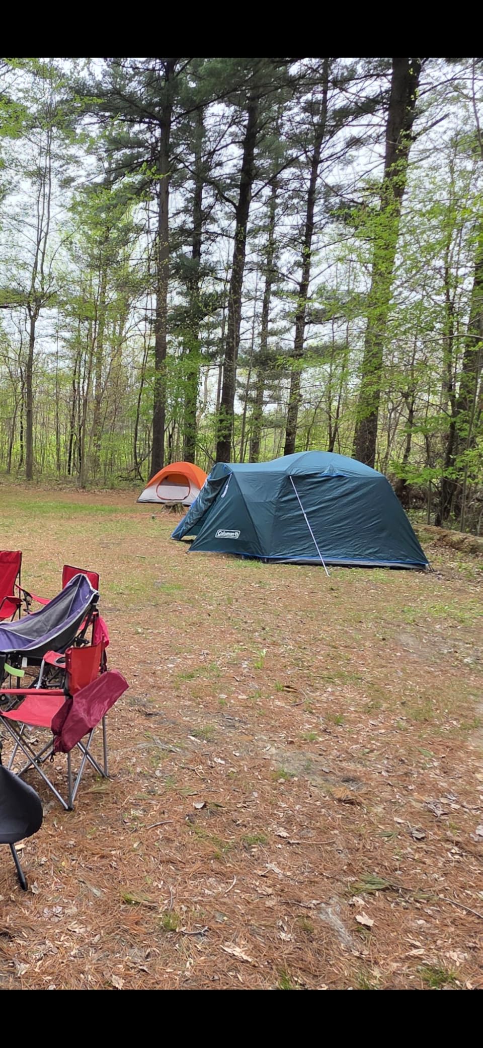 Skydome Tent with Full-Fly Weather Vestibule, Weatherproof 4/6 Person Tent Sets Up in 5 Minutes & Protects from Water, 20% More Headroom Than Traditional Shelters customer photo 2