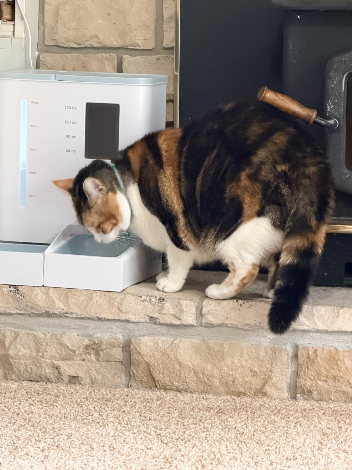 iPettie FW54 5G/2.4GHz WiFi Automatic Feeder and Waterer 2-in-1 Set for Pet | 300 oz Large Capacity for 2 Weeks, APP Scheduling & Alerts, Dual Power Supply, 1 Filter Included, Perfect for Working Parents customer photo 2