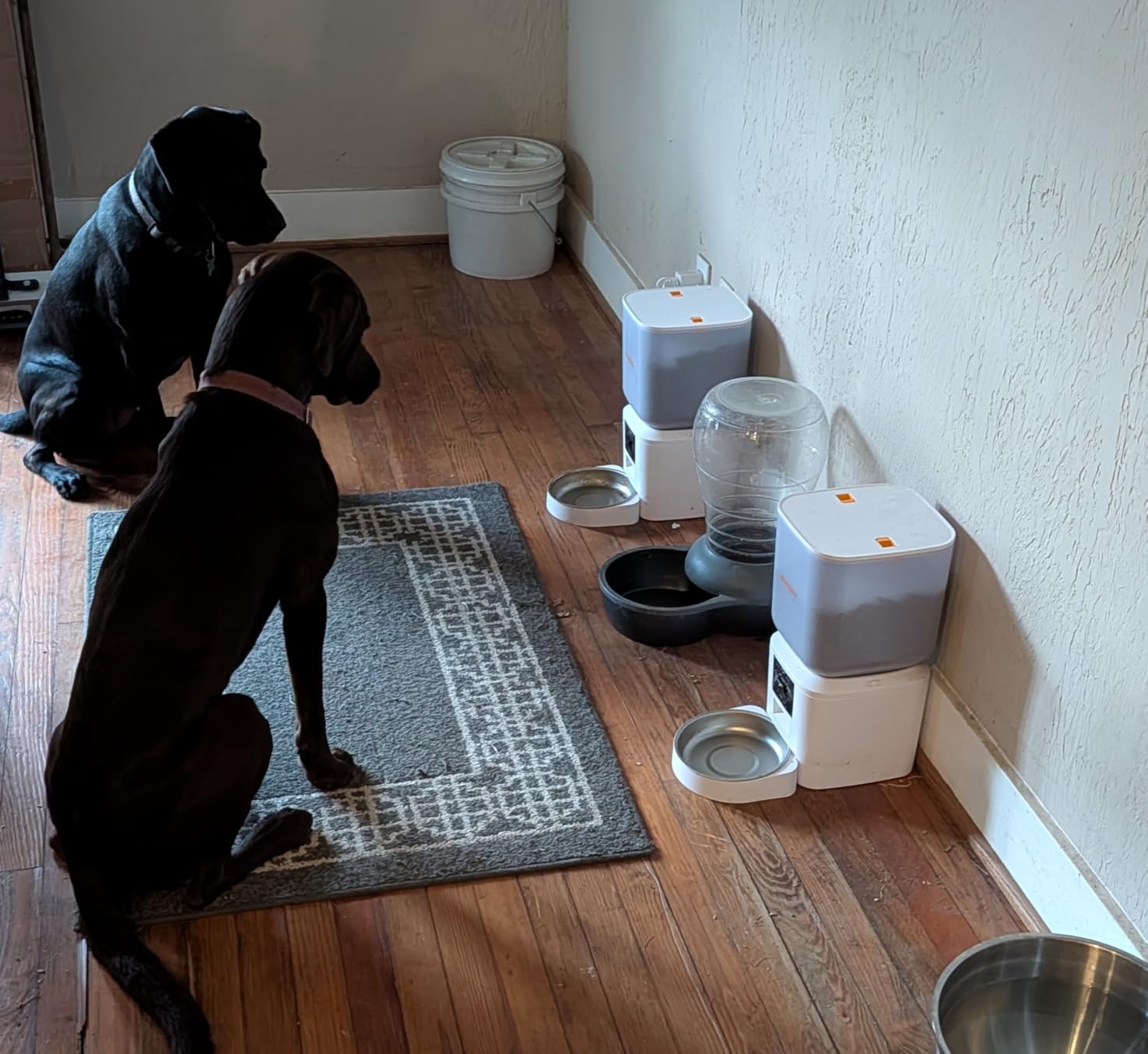 Automatic Dog & Cat Feeder with Camera & WiFi - 8L/34 Cups, 1080P Night Vision, 2.4 & 5G WiFi, 2-Way Talk, 10s Voice Recording, Timed Food Dispenser, Up to 99 Portions, 15 Meals Per Day customer photo 1