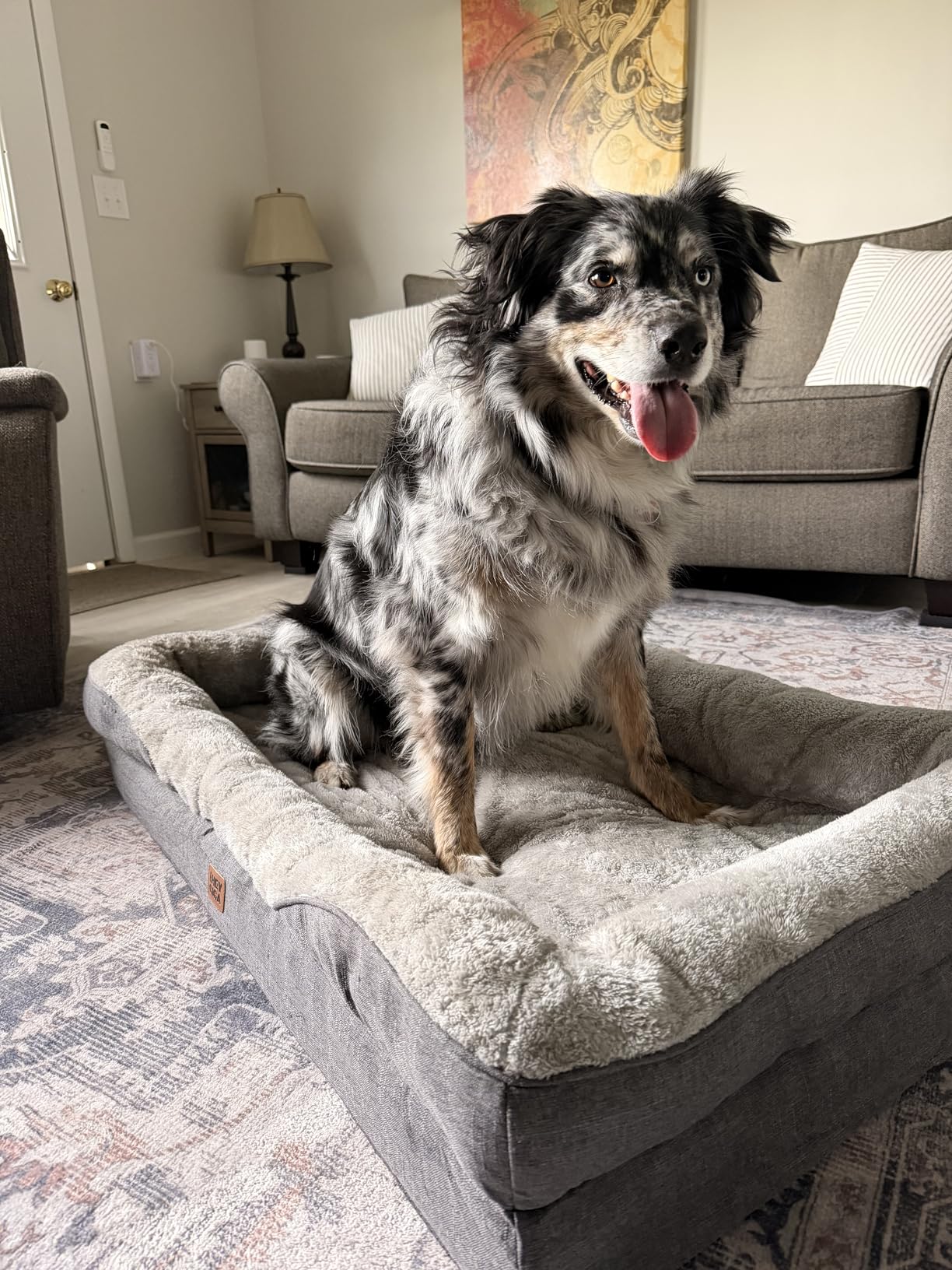 EHEYCIGA Orthopedic XL Dog Bed for Large Sized Dog, 42x30 Inch Extra Large Memory Foam Dog Couch Bed with Sides, Waterproof Liner & Washable Removable Cover, Bolster Pet Sofa, Grey customer photo 1